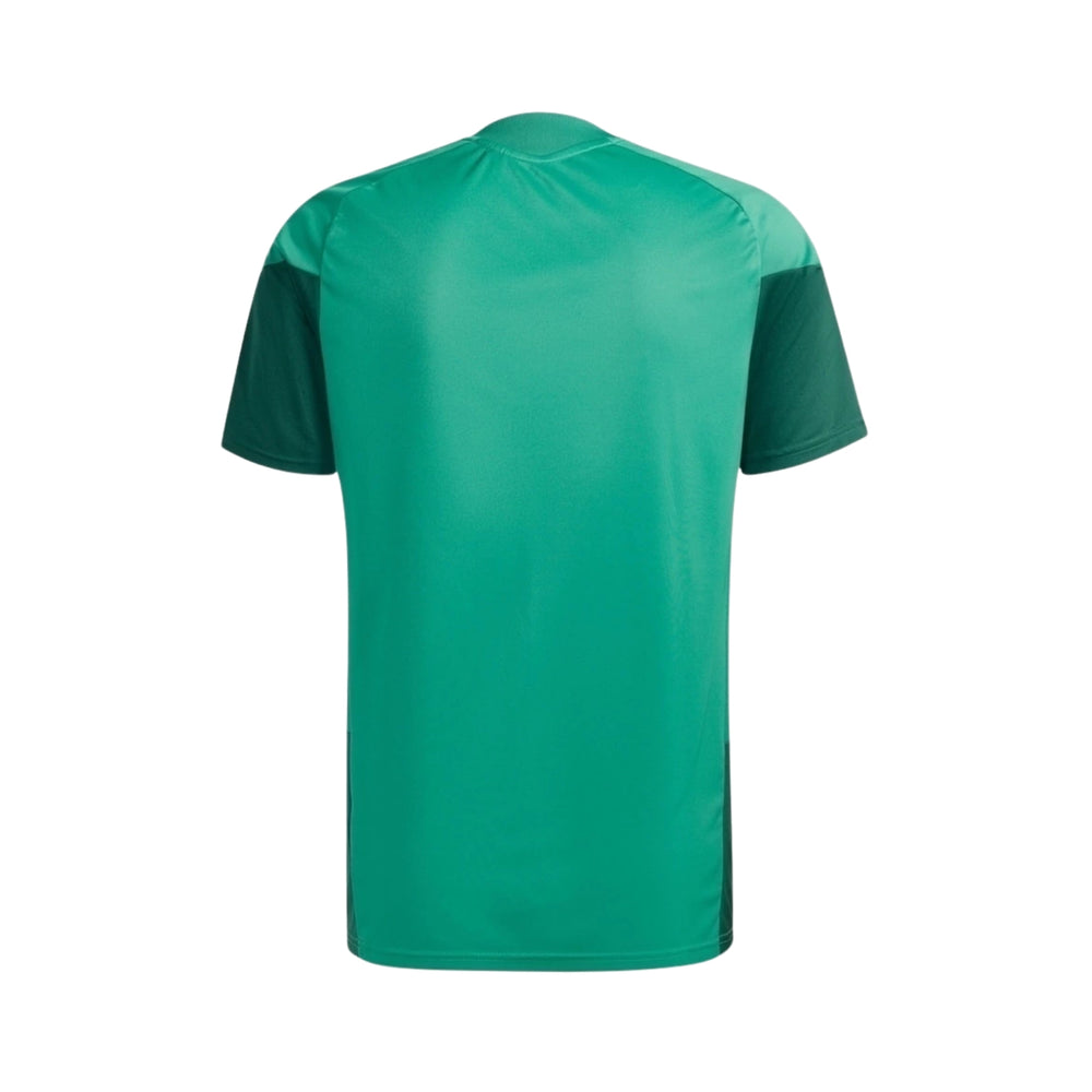 Algeria Training 26/27 - World Cup 2026