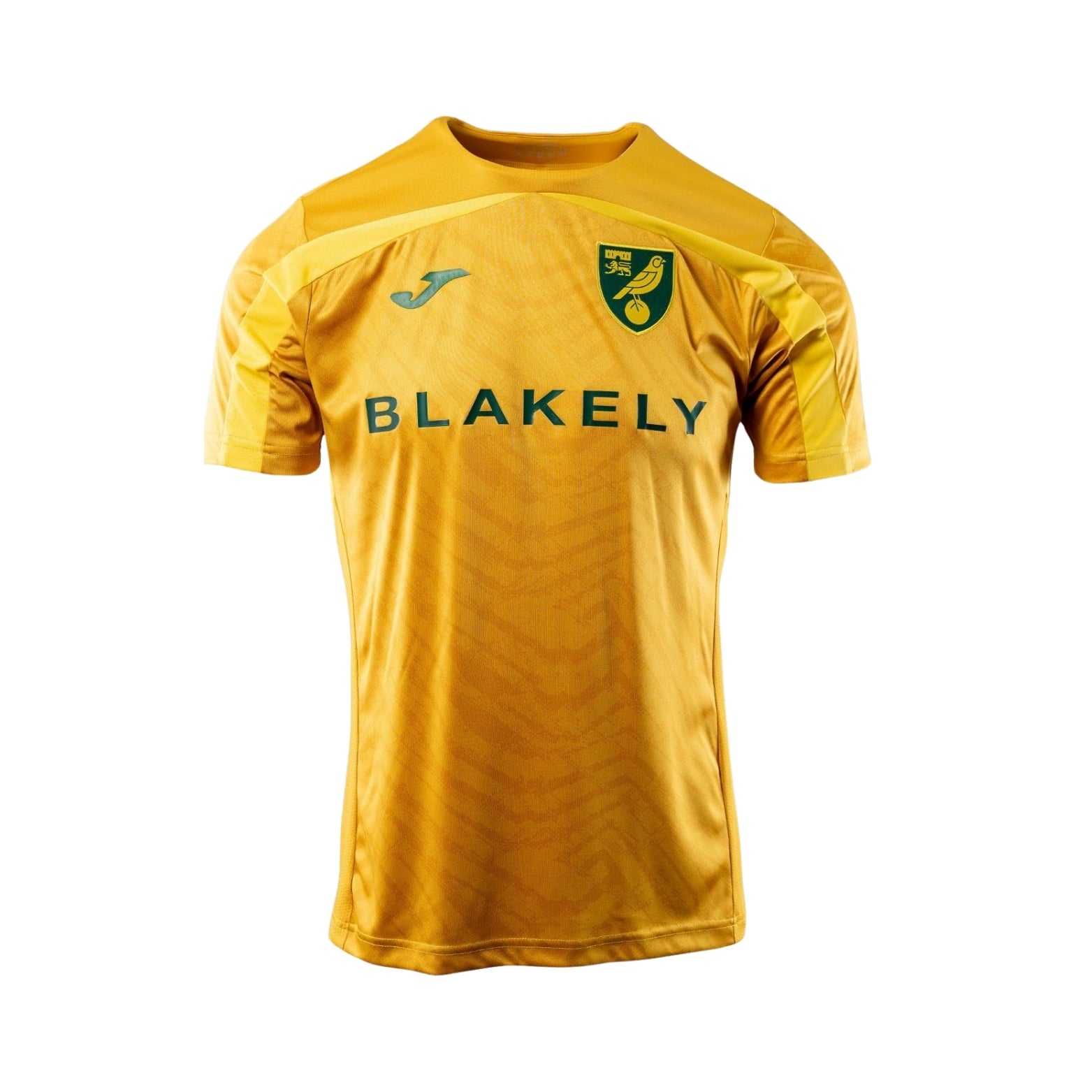 Norwich Entraînement 25/26 - Vue de face