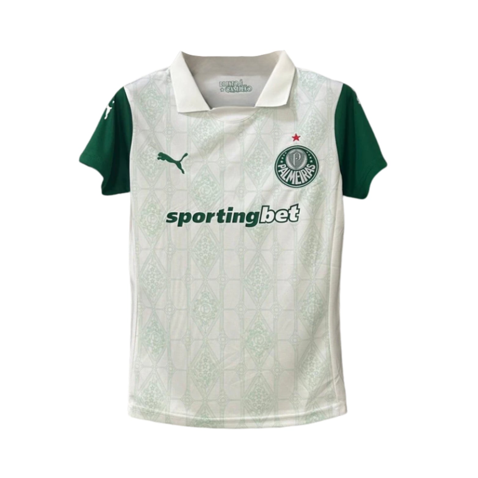 Palmeiras Extérieur 25/26 - Vue de face