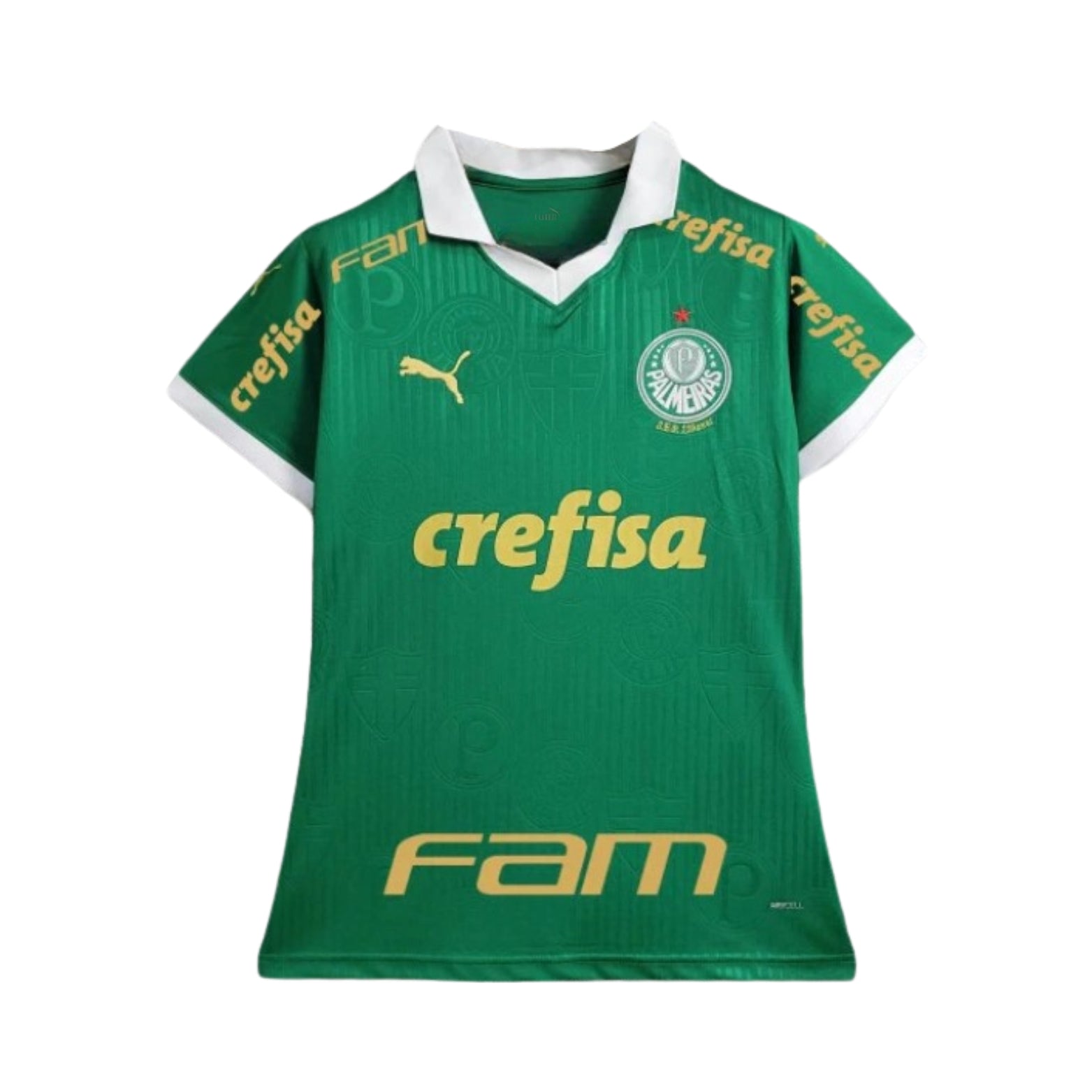 Palmeiras Domicile 24/25 - Tous les Sponsors - Vue de face