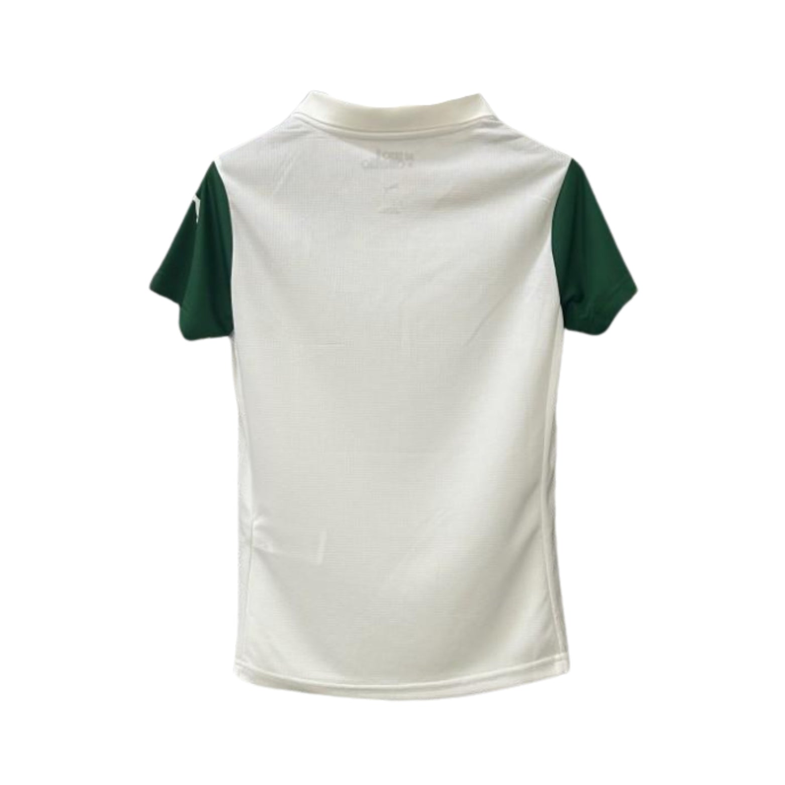 Palmeiras Extérieur 25/26 - Vue de dos
