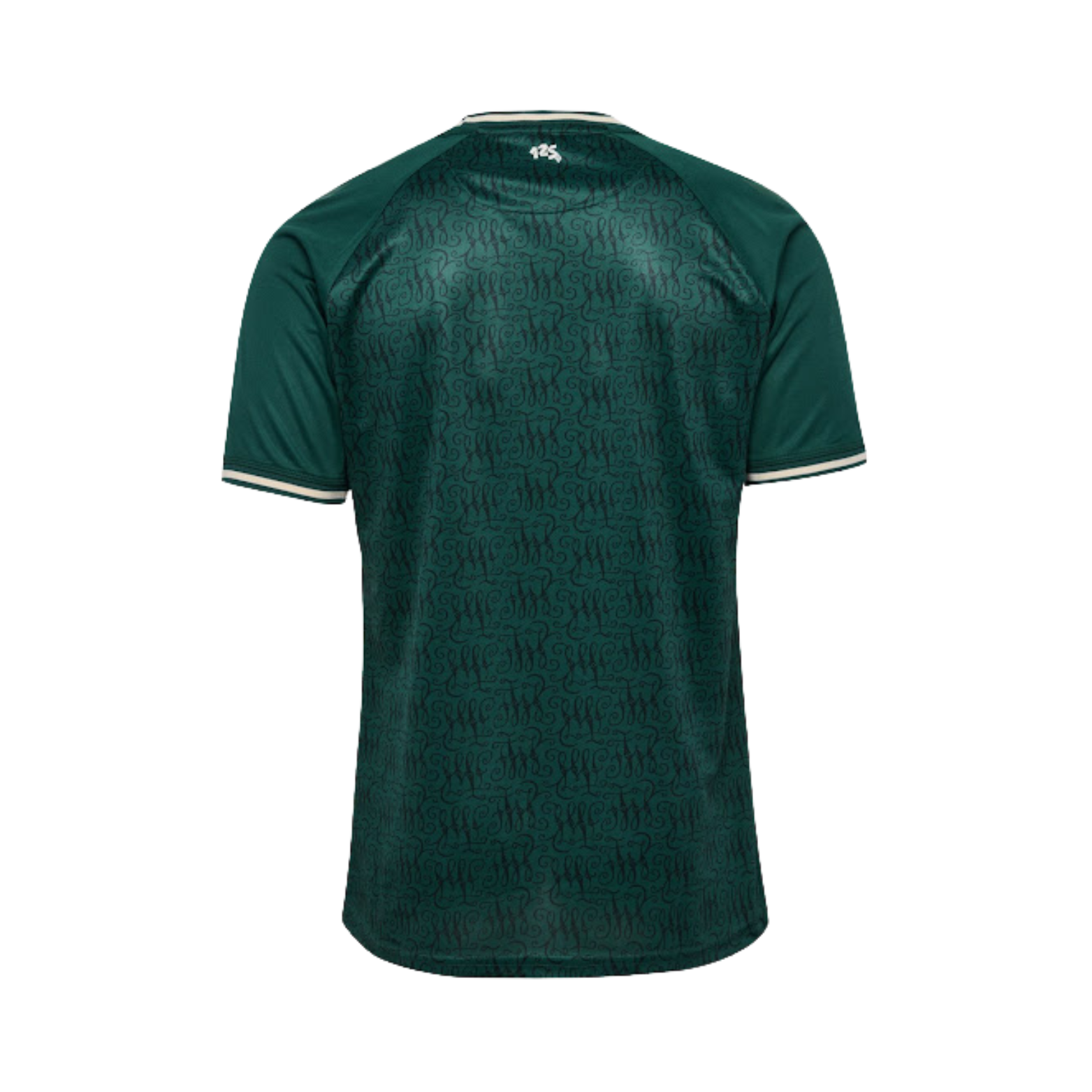 Werder Bremen Édition Speciale 24/25 - Vue de dos