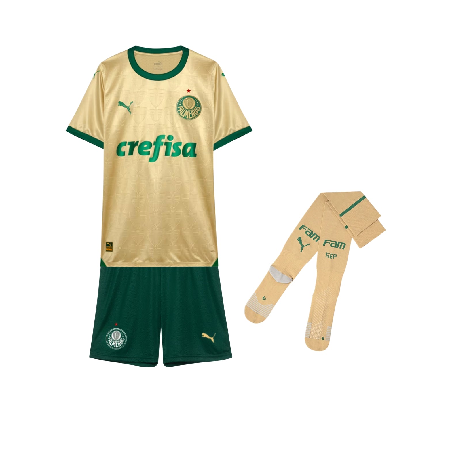 Kit - Palmeiras Troisième 24/25 - Vue de face