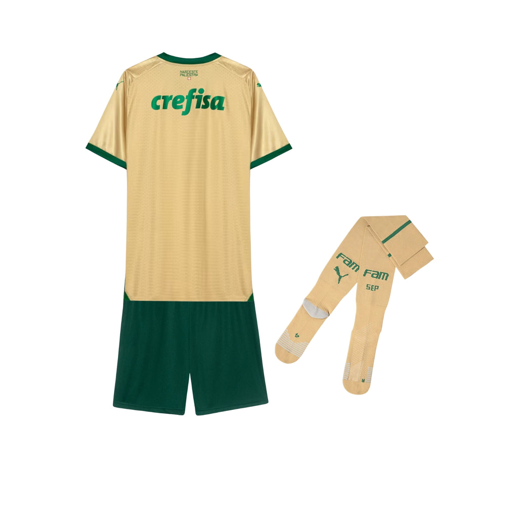 Kit - Palmeiras Third 24/25