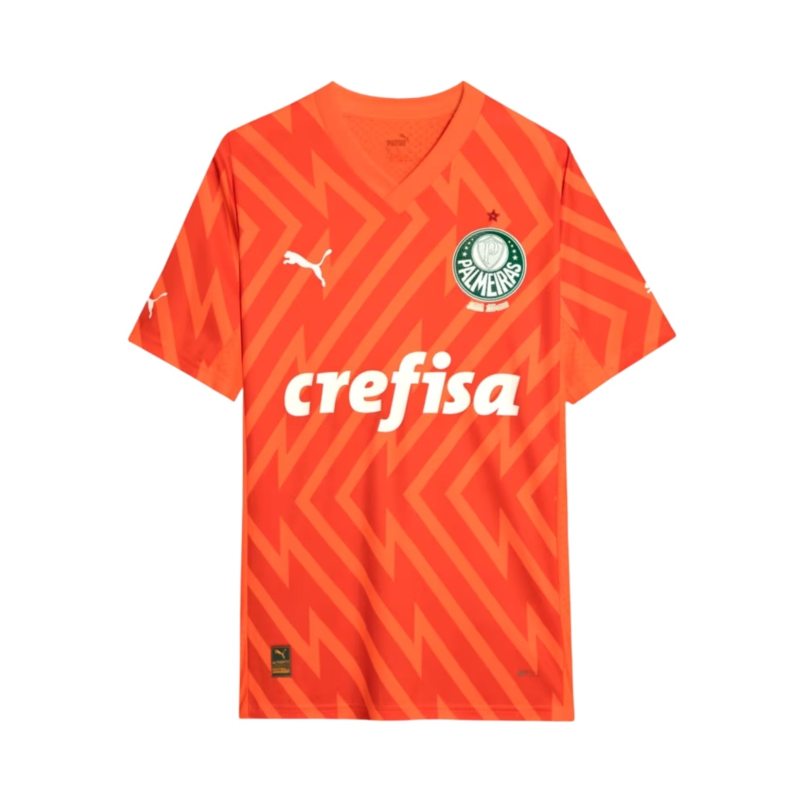 Palmeiras Gardiens de But 24/25 - Vue de face