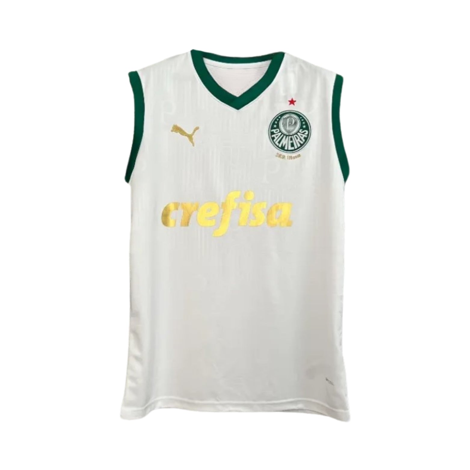 Palmeiras Entraînement 23/24 - Manches Cava - Vue de face