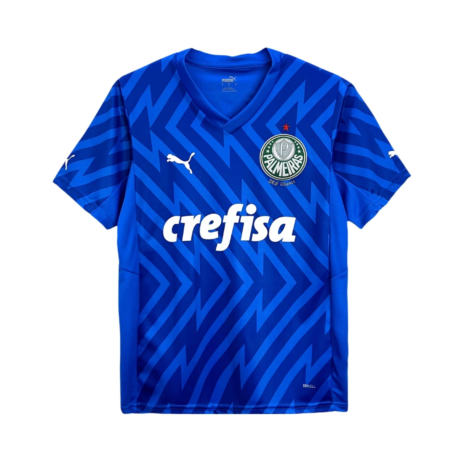 Palmeiras Gardiens de But 24/25 - Vue de face