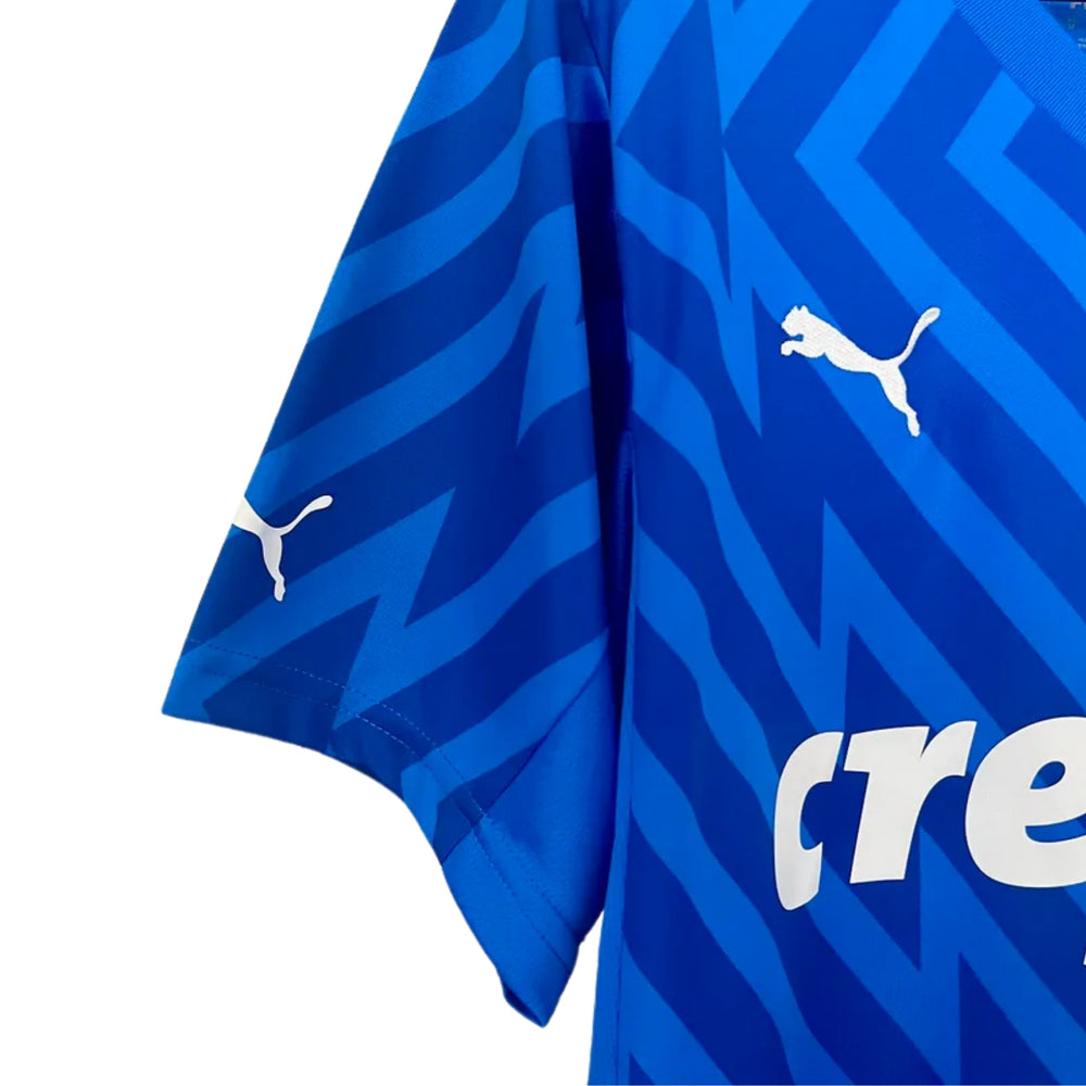 Palmeiras Goalkeepers 24/25