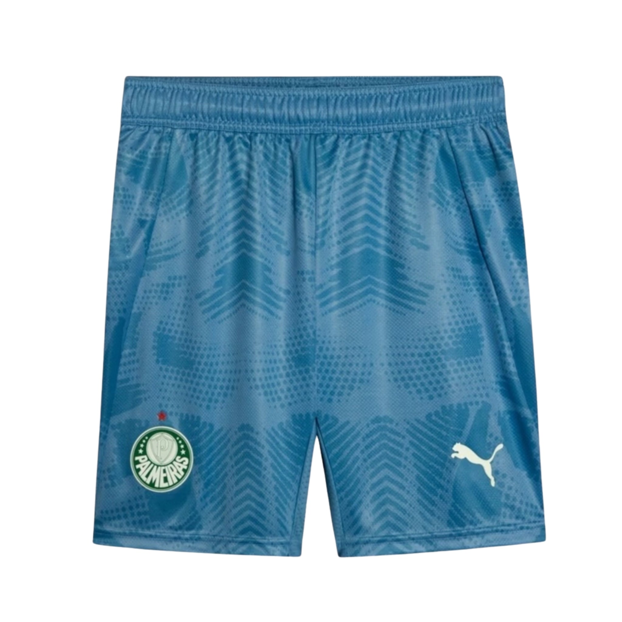 Short Palmeiras Gardiens de But 25/26 - Vue de face