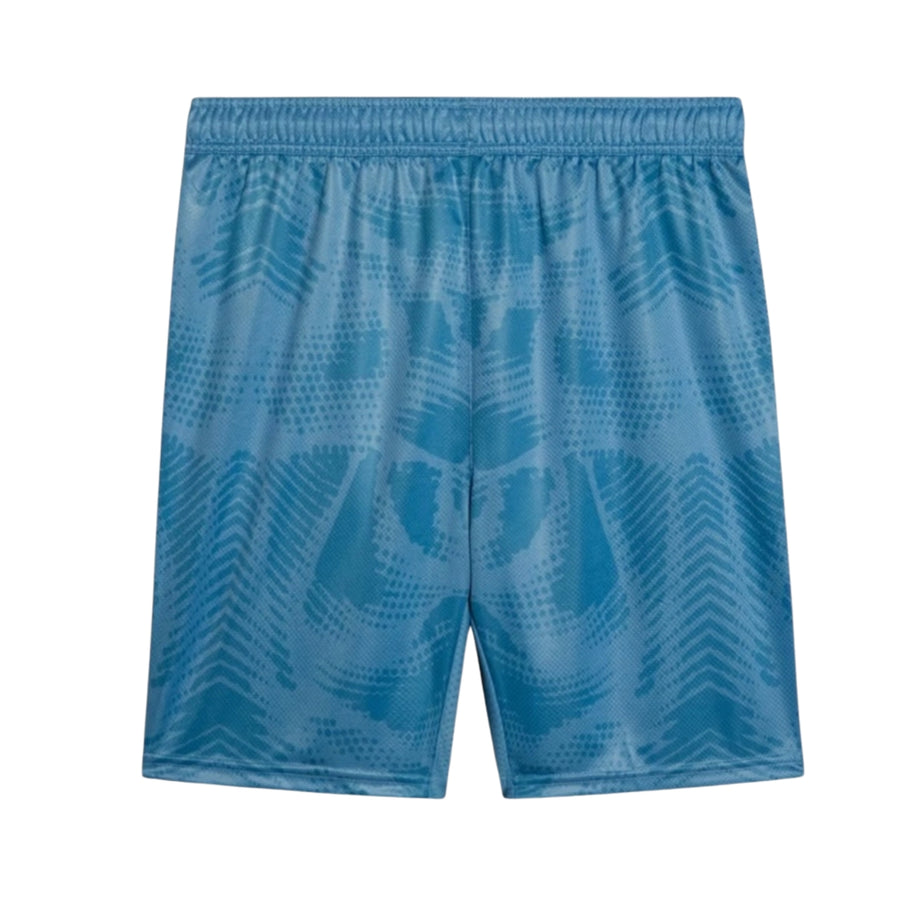 Short Palmeiras Gardiens de But 25/26