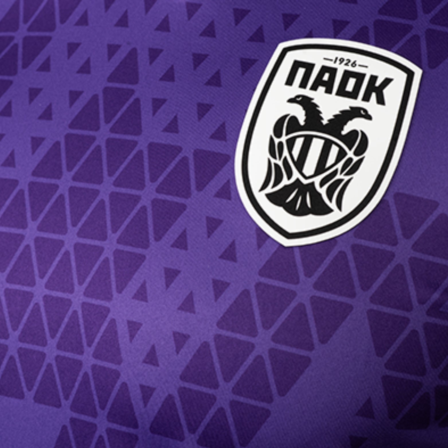PAOK Gardiens de But 25/26 - Manches Longues - Vue rapprochée
