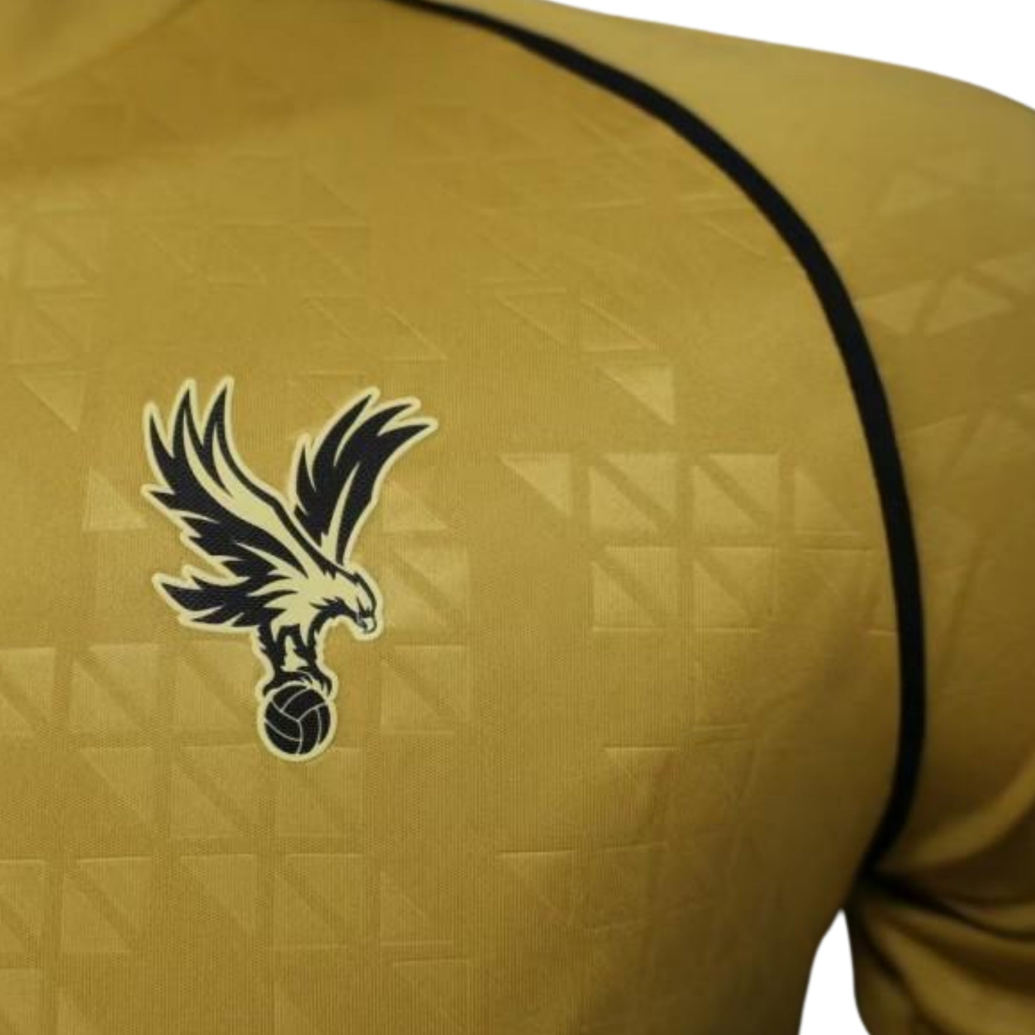 Crystal Palace Troisième 25/26 - Porté