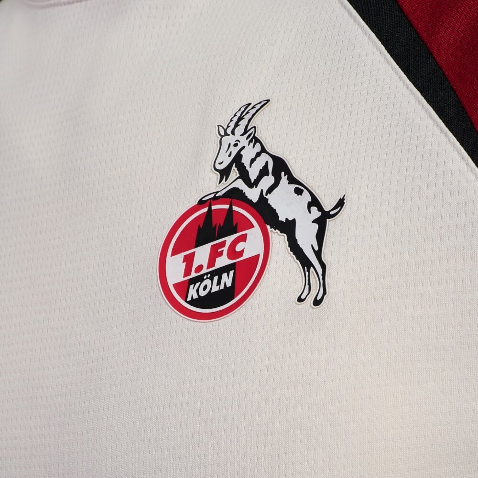 FC Köln Entraînement 25/26 - Vue rapprochée