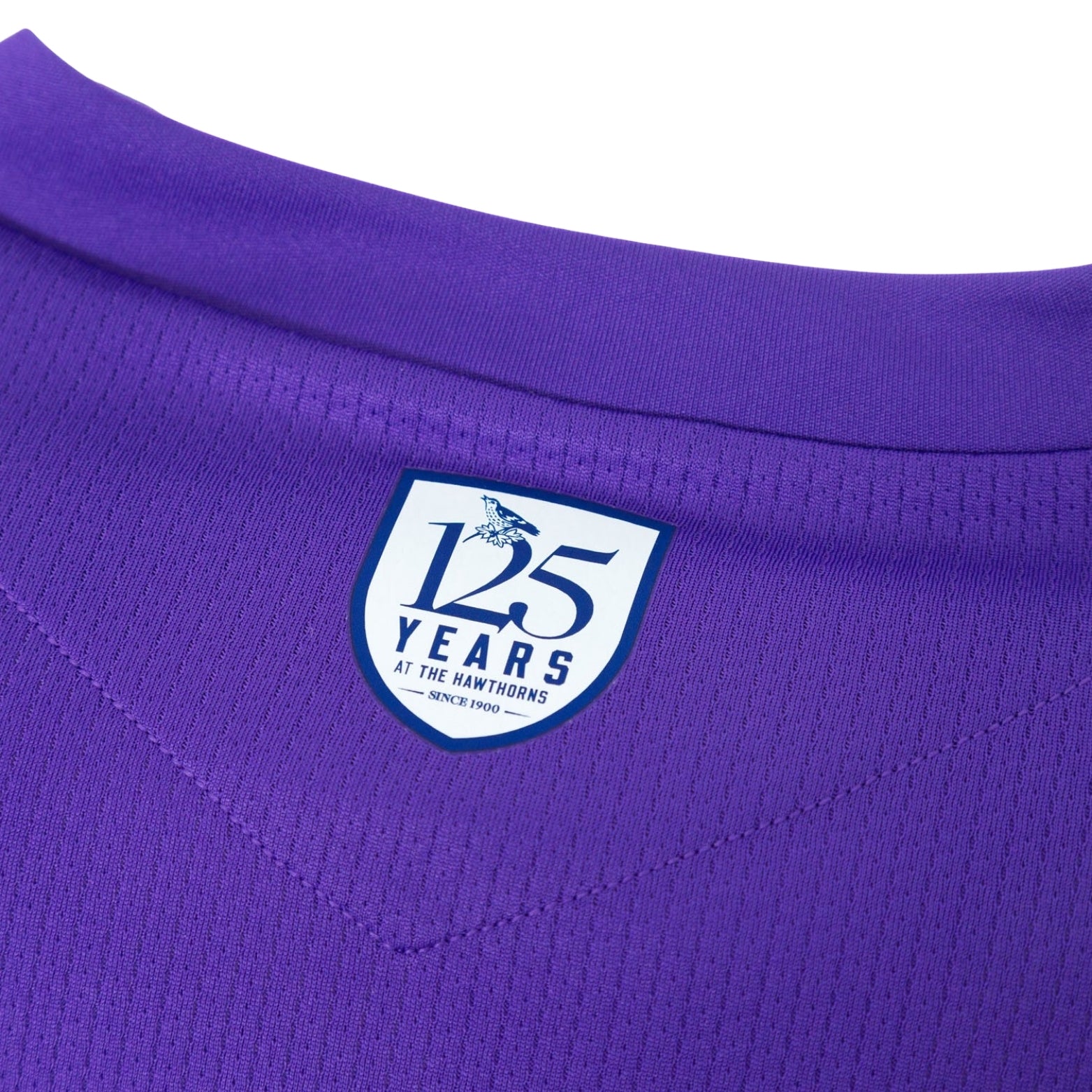 West Bromwich Albion Gardiens de But 25/26 - Détail