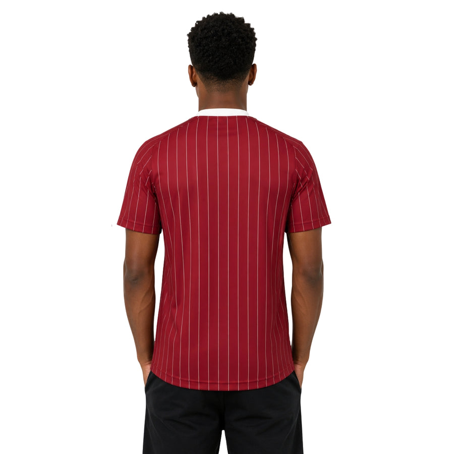 Ajax Édition Spéciale 25/26 - Version Joueur