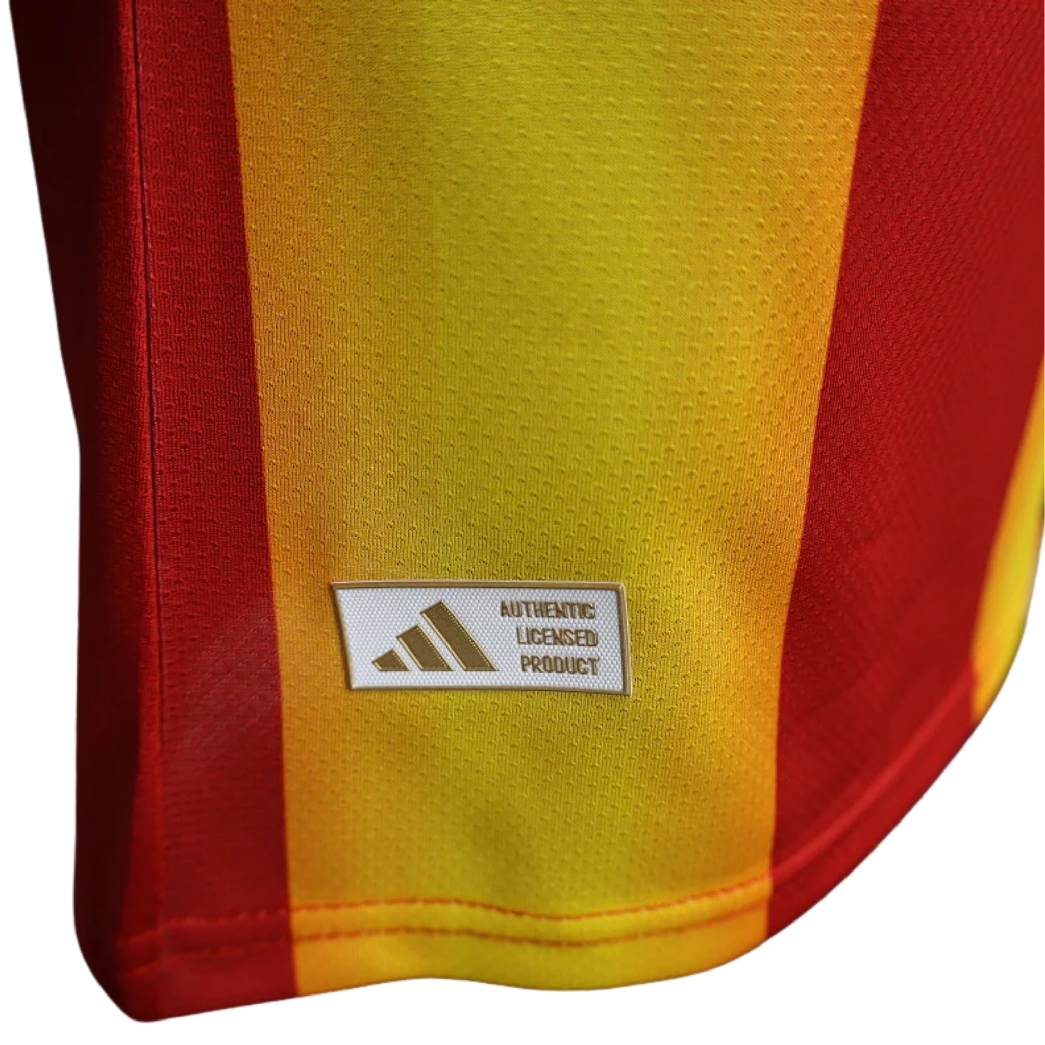 Espagne Avant-Match 26/27 - Coupe du Monde 2026 - Version Joueur