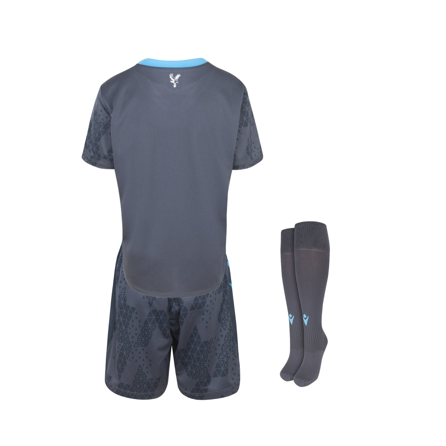 Kit - Crystal Palace Gardiens de But 25/26 - Vue de dos