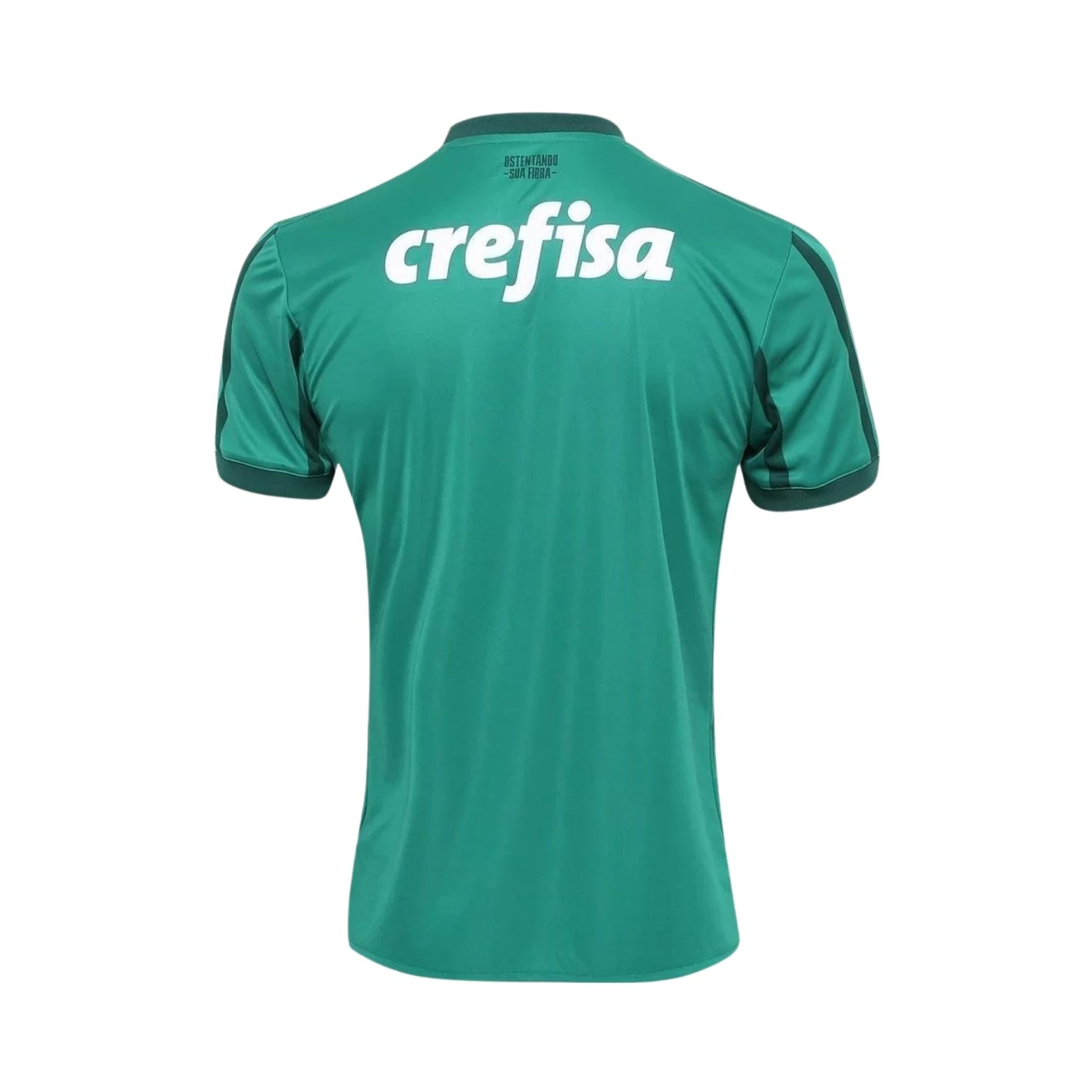 Palmeiras Domicile 17/18 - Vue de dos
