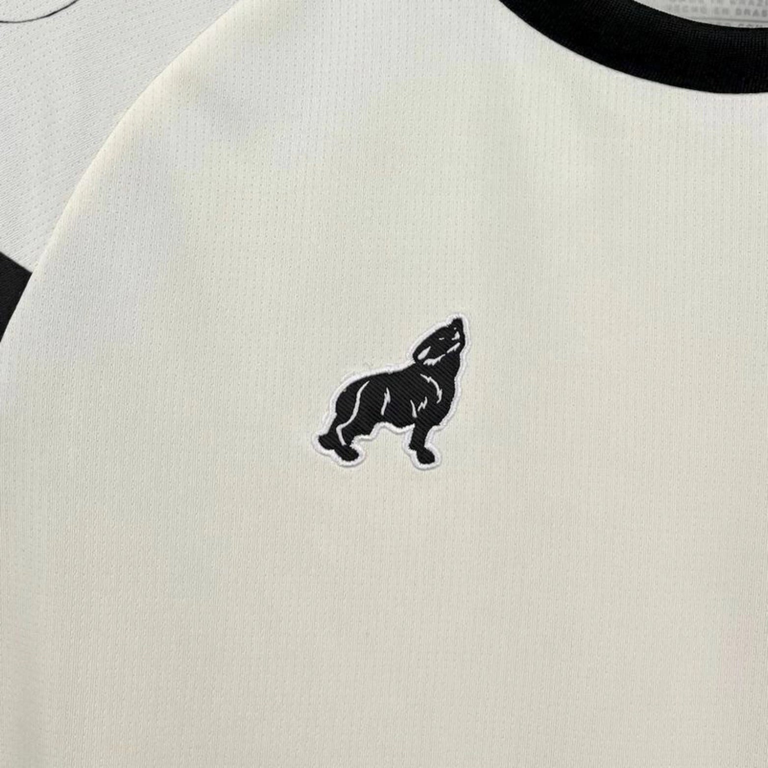 Paysandu Entraînement 25/26 - Détail