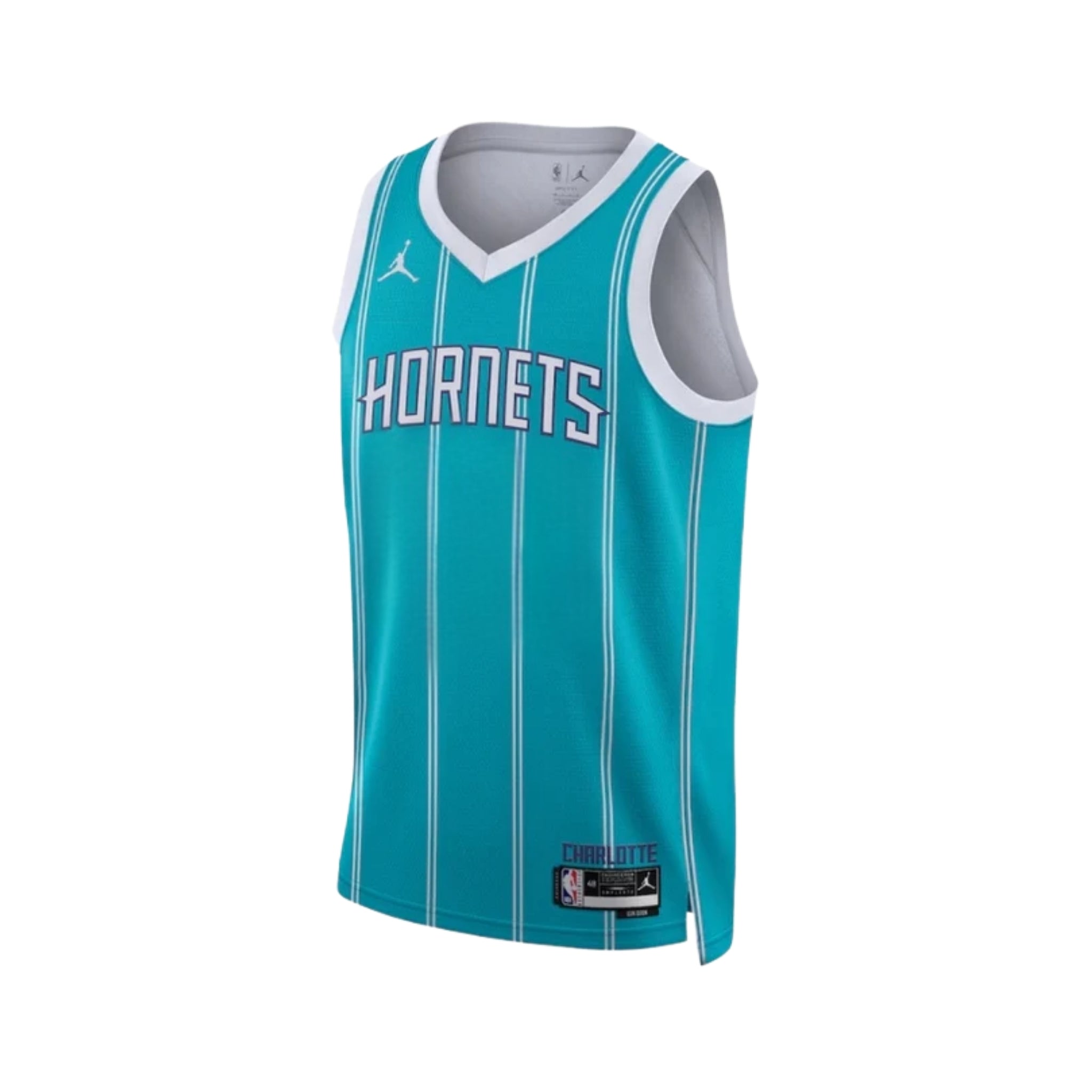 Charlotte Hornets Icon Edition 25/26 - Vue de face