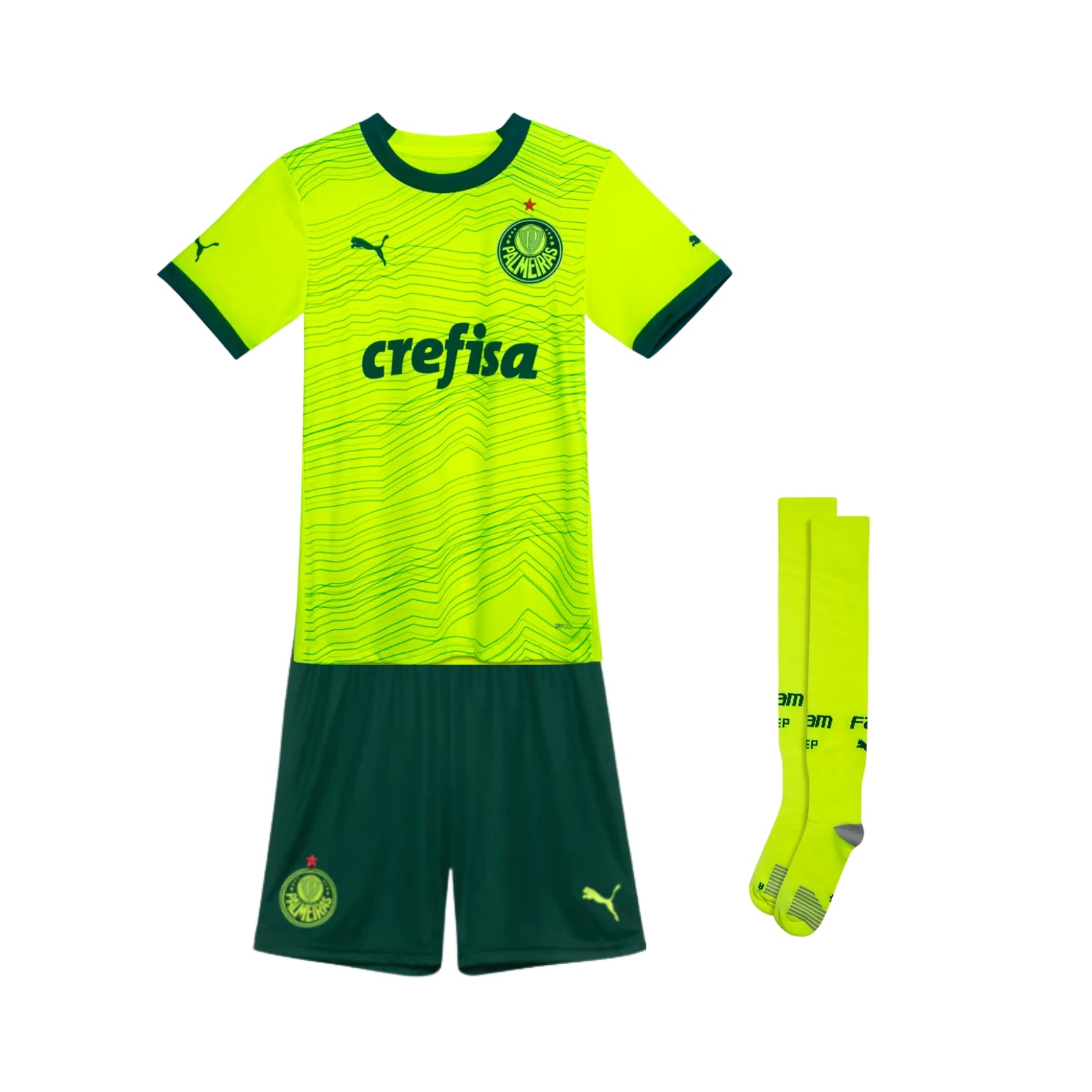 Kit - Palmeiras Troisième 23/24 - Vue de face