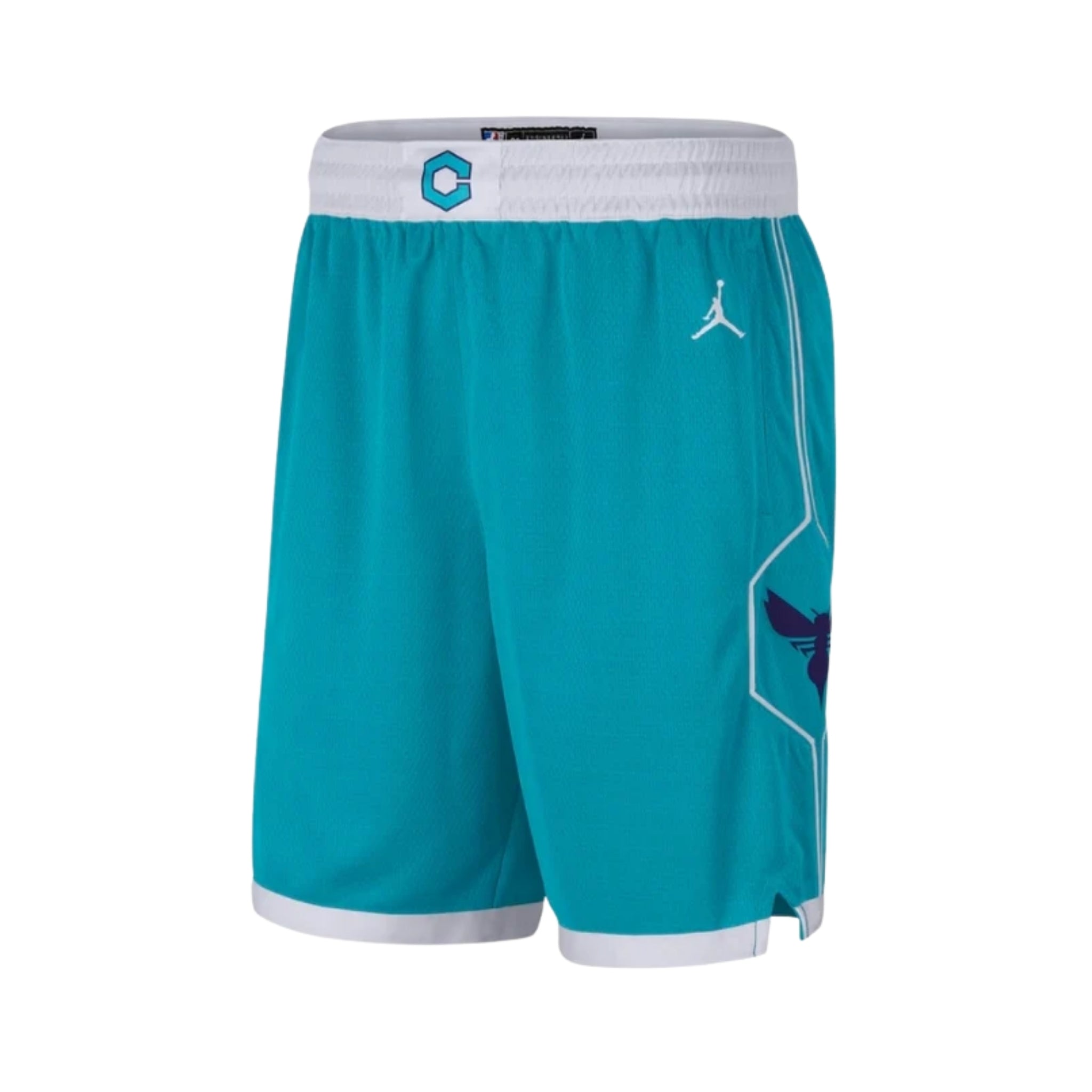 Charlotte Hornets Icon Edition 25/26 - Détail