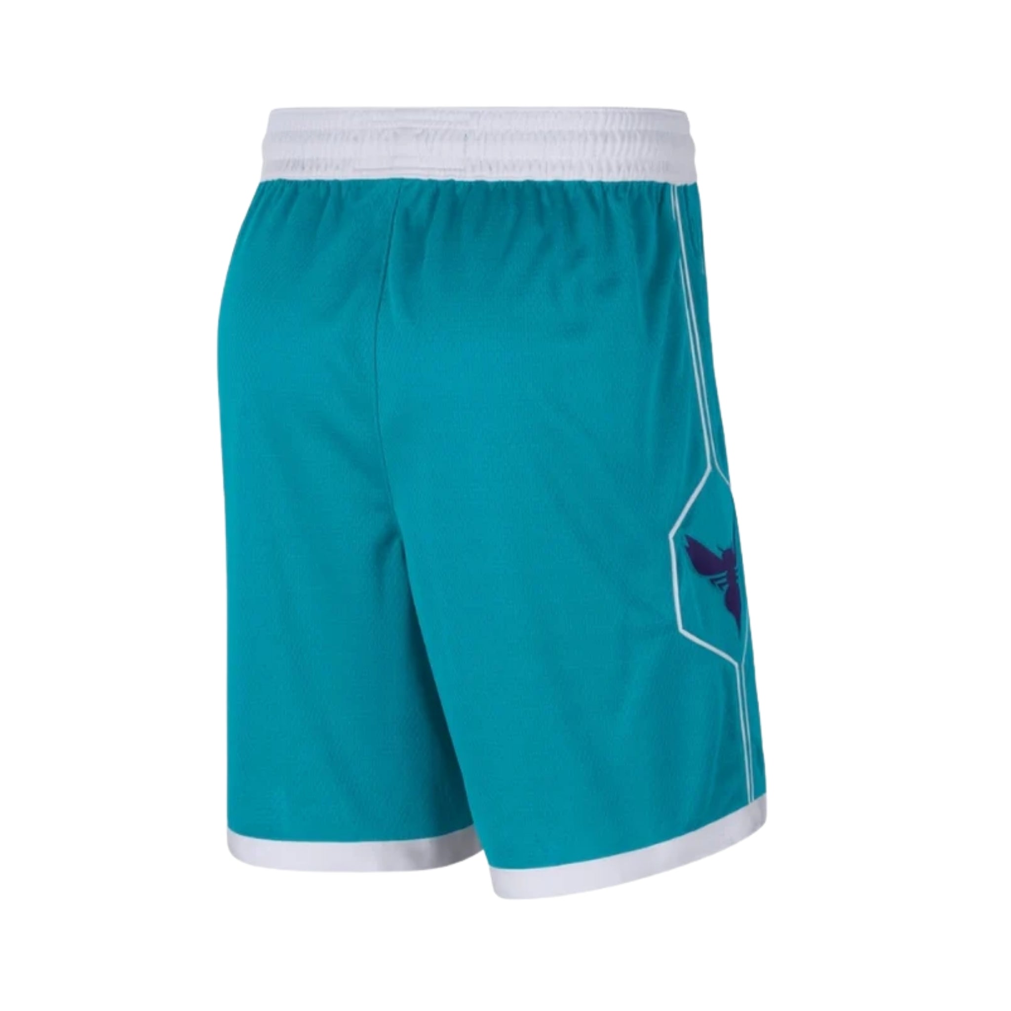 Charlotte Hornets Icon Edition 25/26 - Vue rapprochée