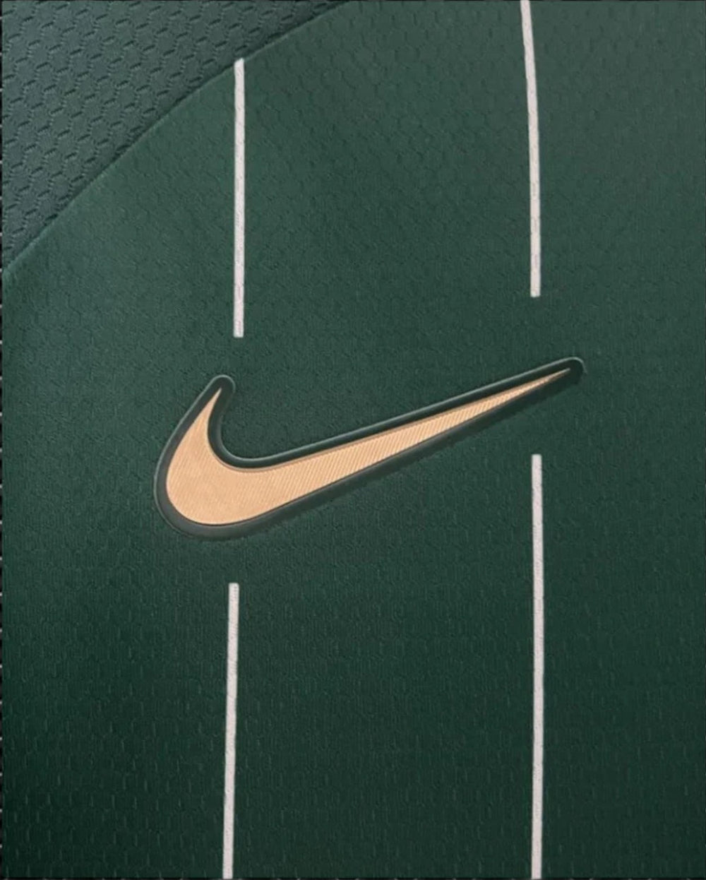 Special Edition Sporting 23/24
