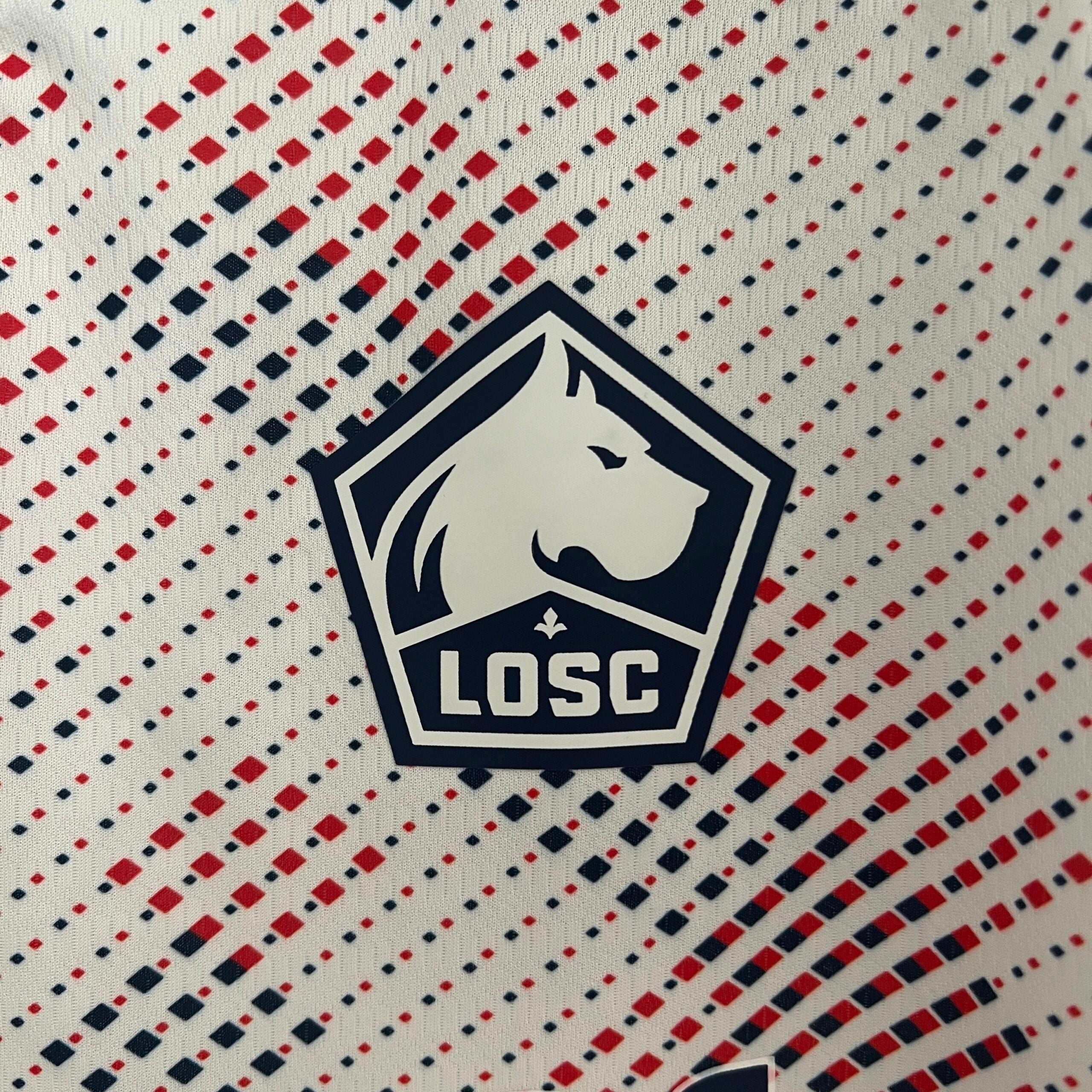 Lille OSC Extérieur 24/25 - Porté