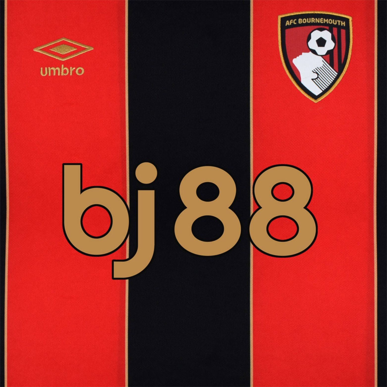 Bournemouth Domicile 24/25 - Tous les Sponsors - Vue rapprochée