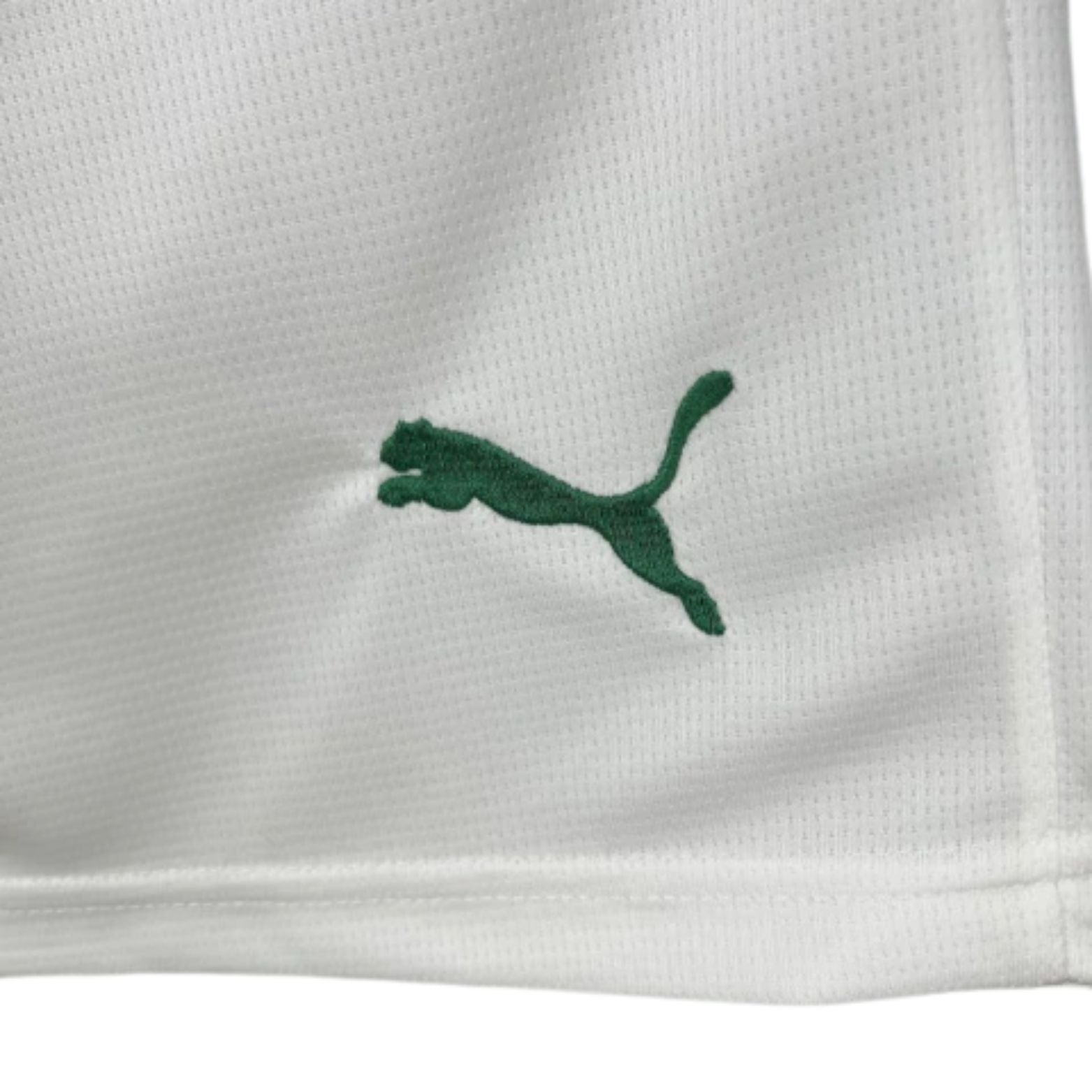 Short Palmeiras Domicile 25/26 - Vue rapprochée
