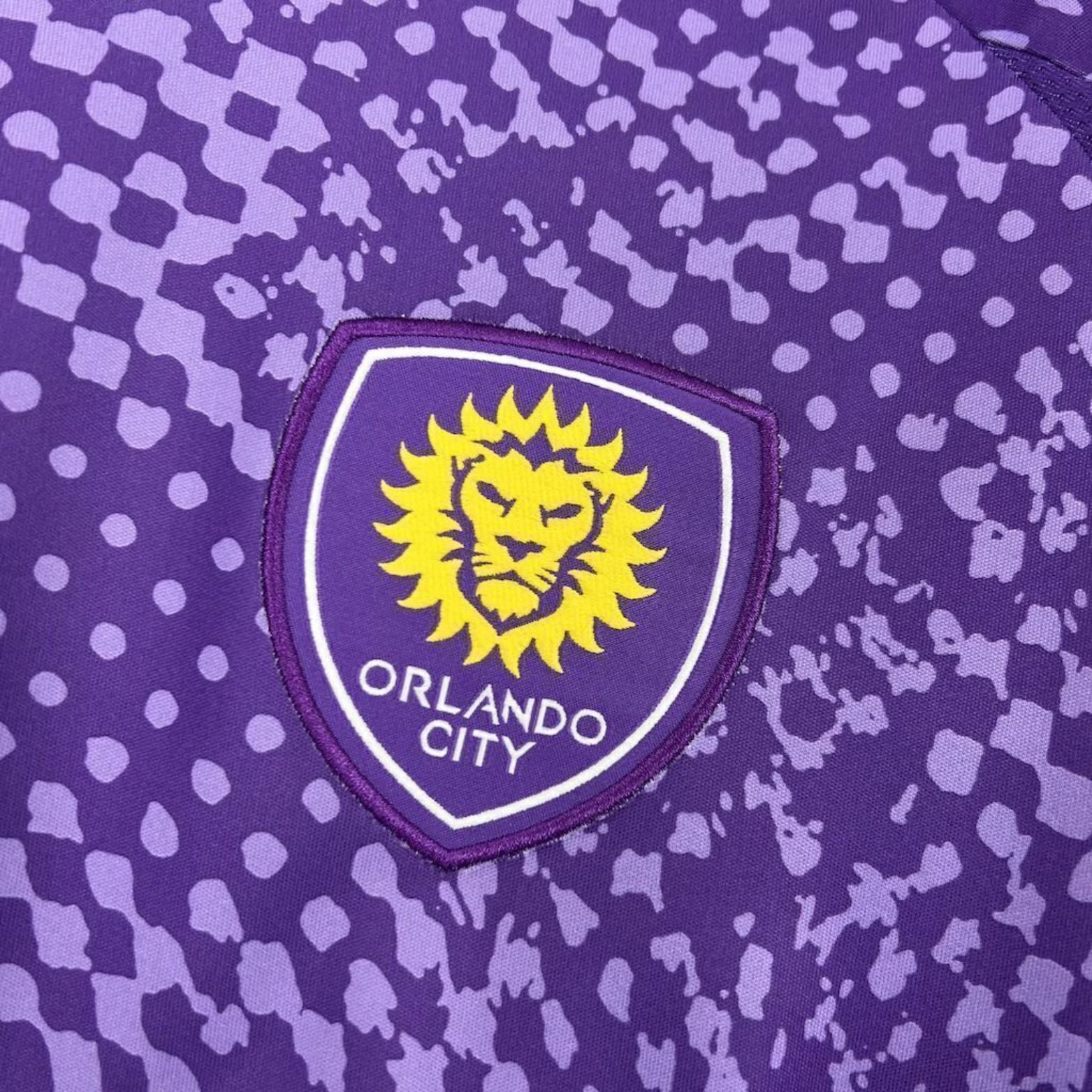 Orlando Domicile 25/26 - Porté