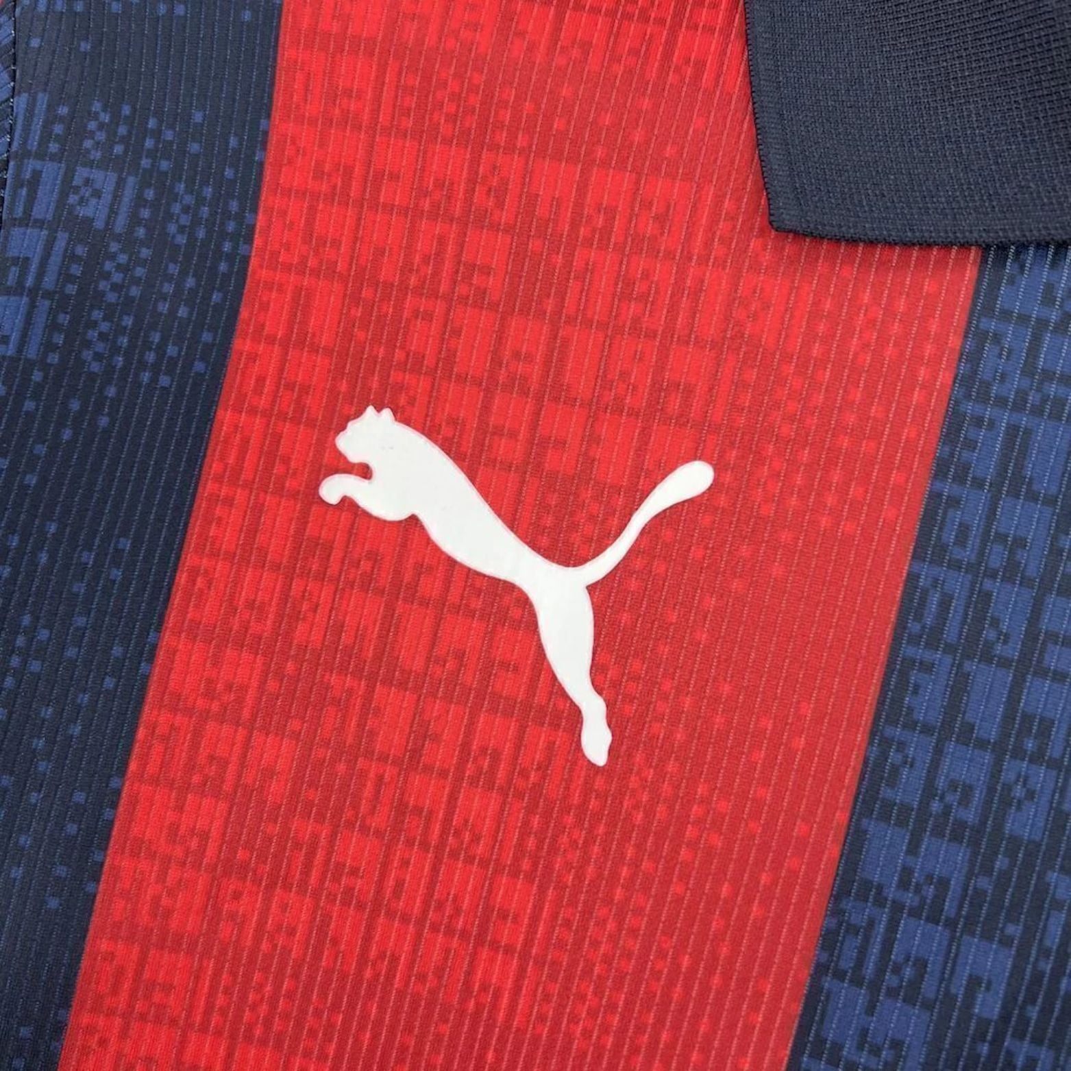 Cerro Porteño Domicile 25/26 - Détail