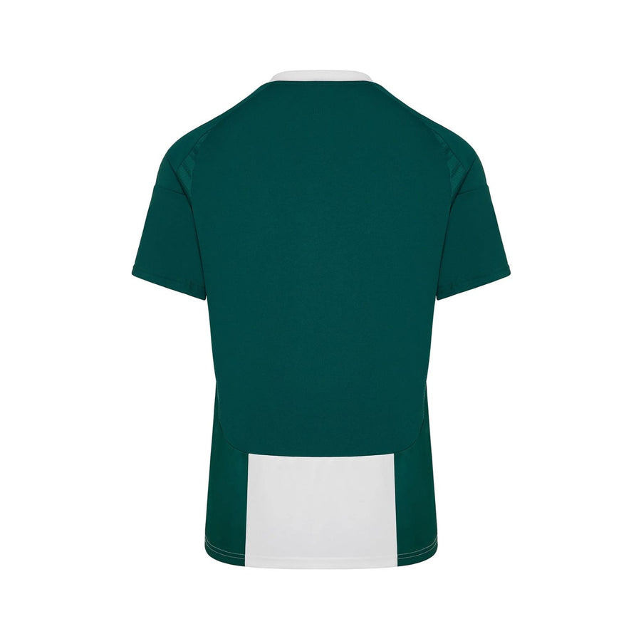 Panathinaikos Domicile 24/25