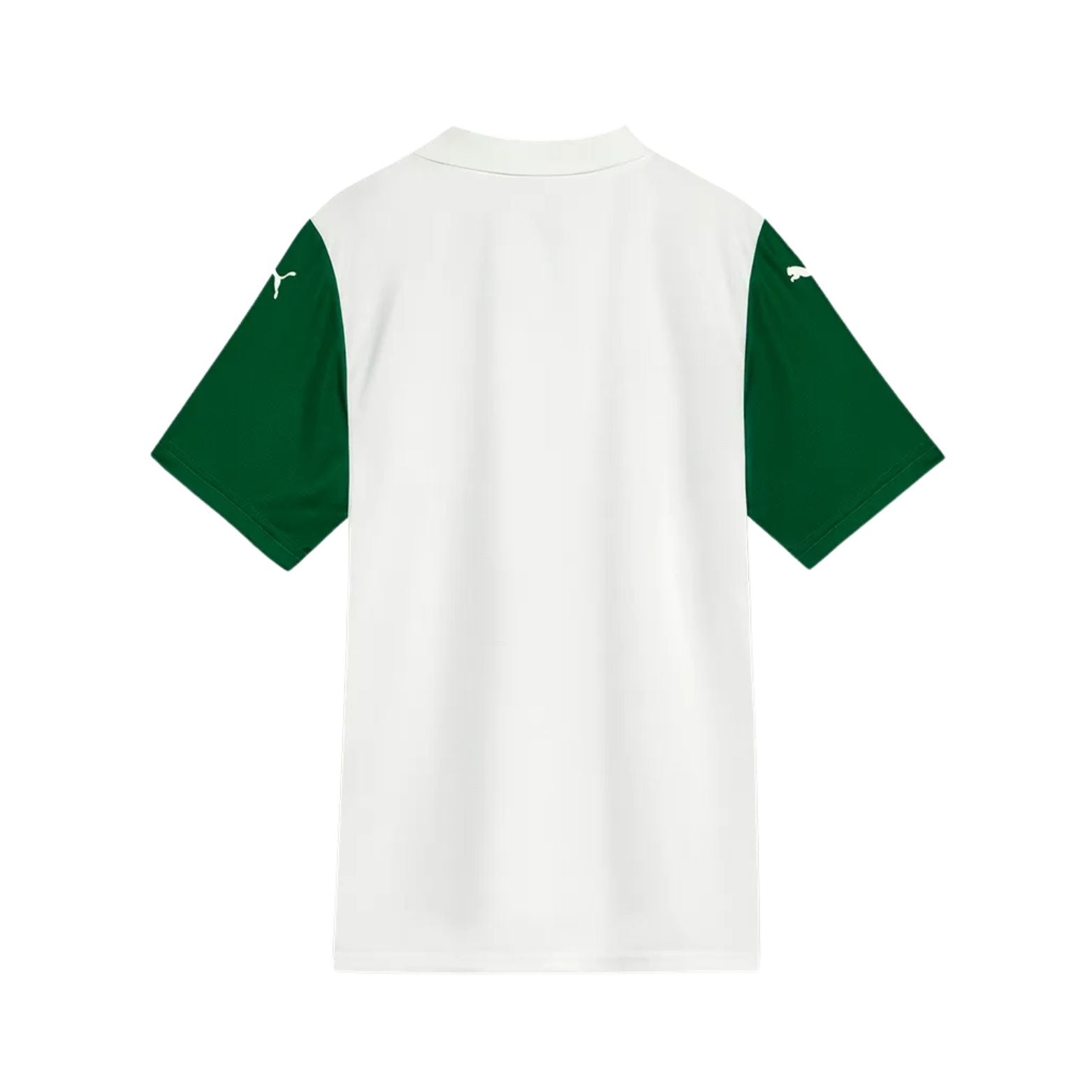 Palmeiras Extérieur 25/26 - Vue de dos