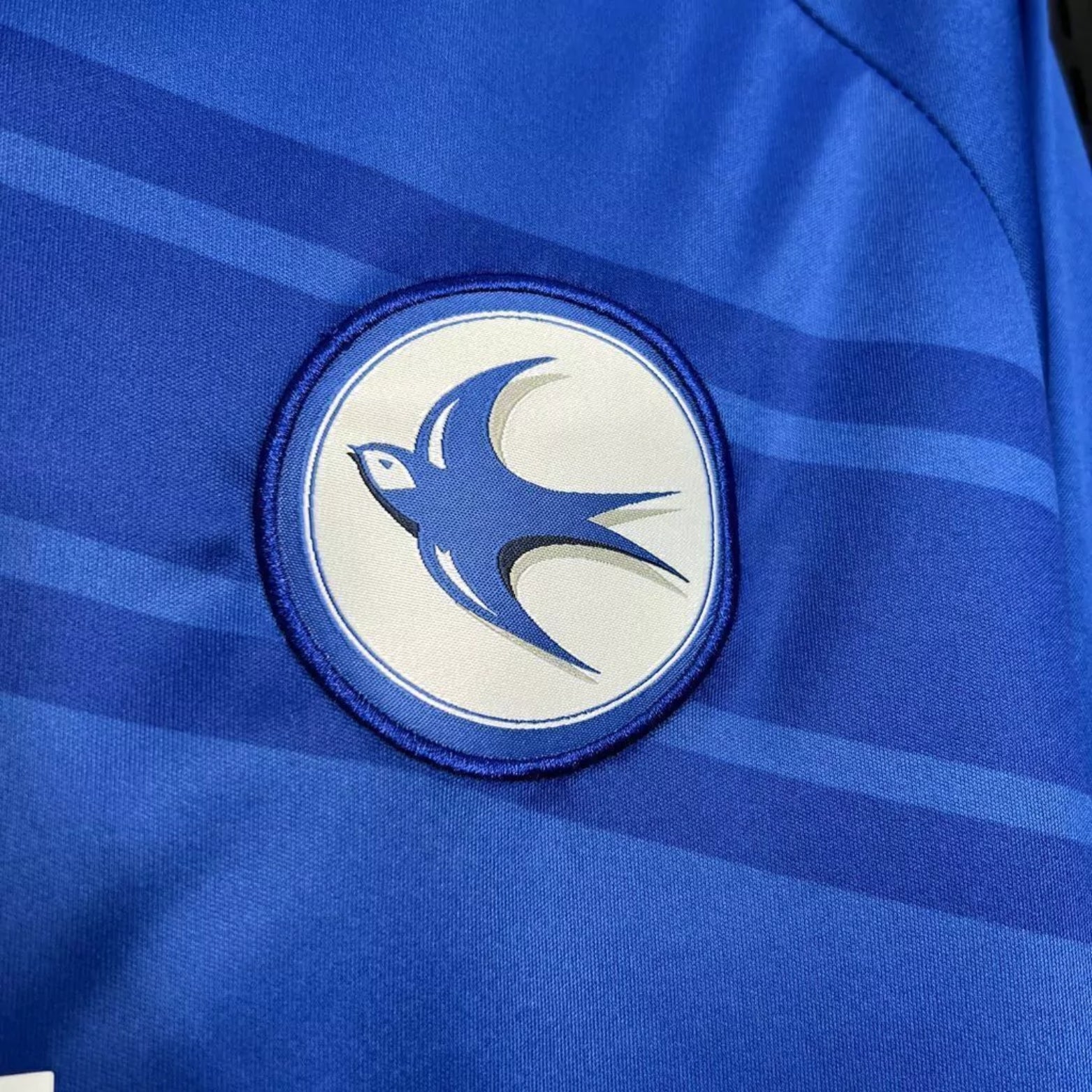 Cardiff City F.C. Domicile 24/25 - Détail