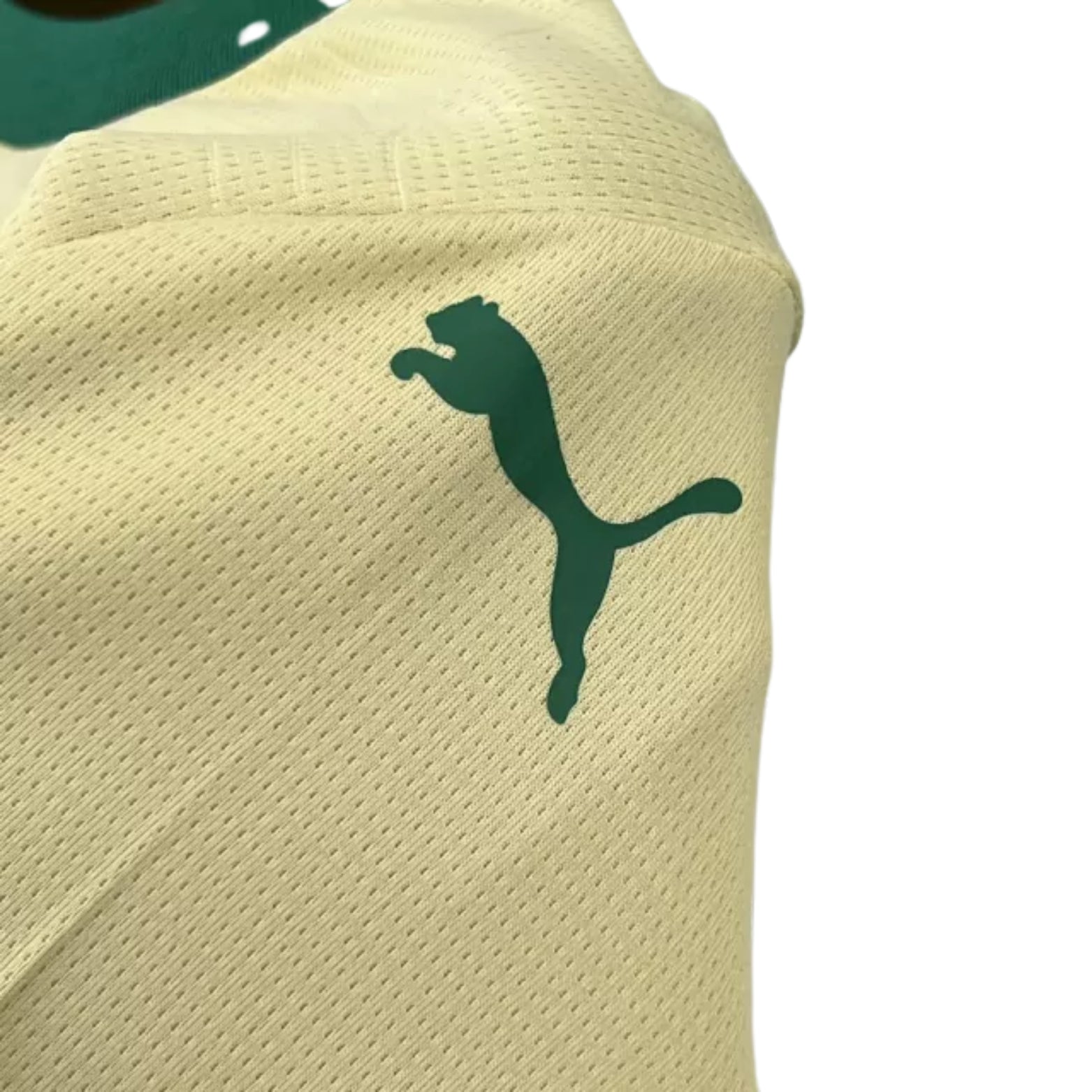 Kit - Palmeiras Troisième 24/25 - Détail