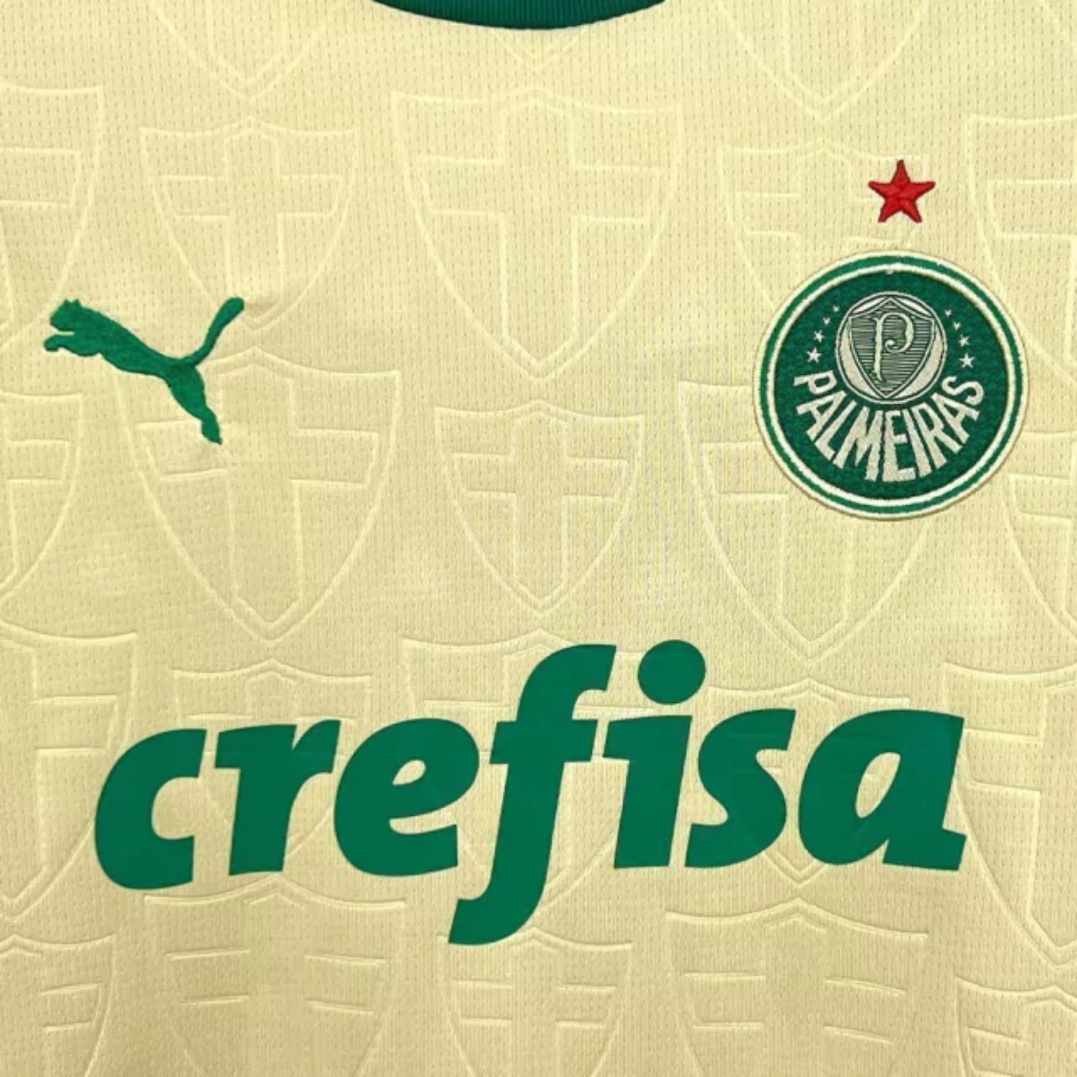 Kit - Palmeiras Troisième 24/25 - Porté
