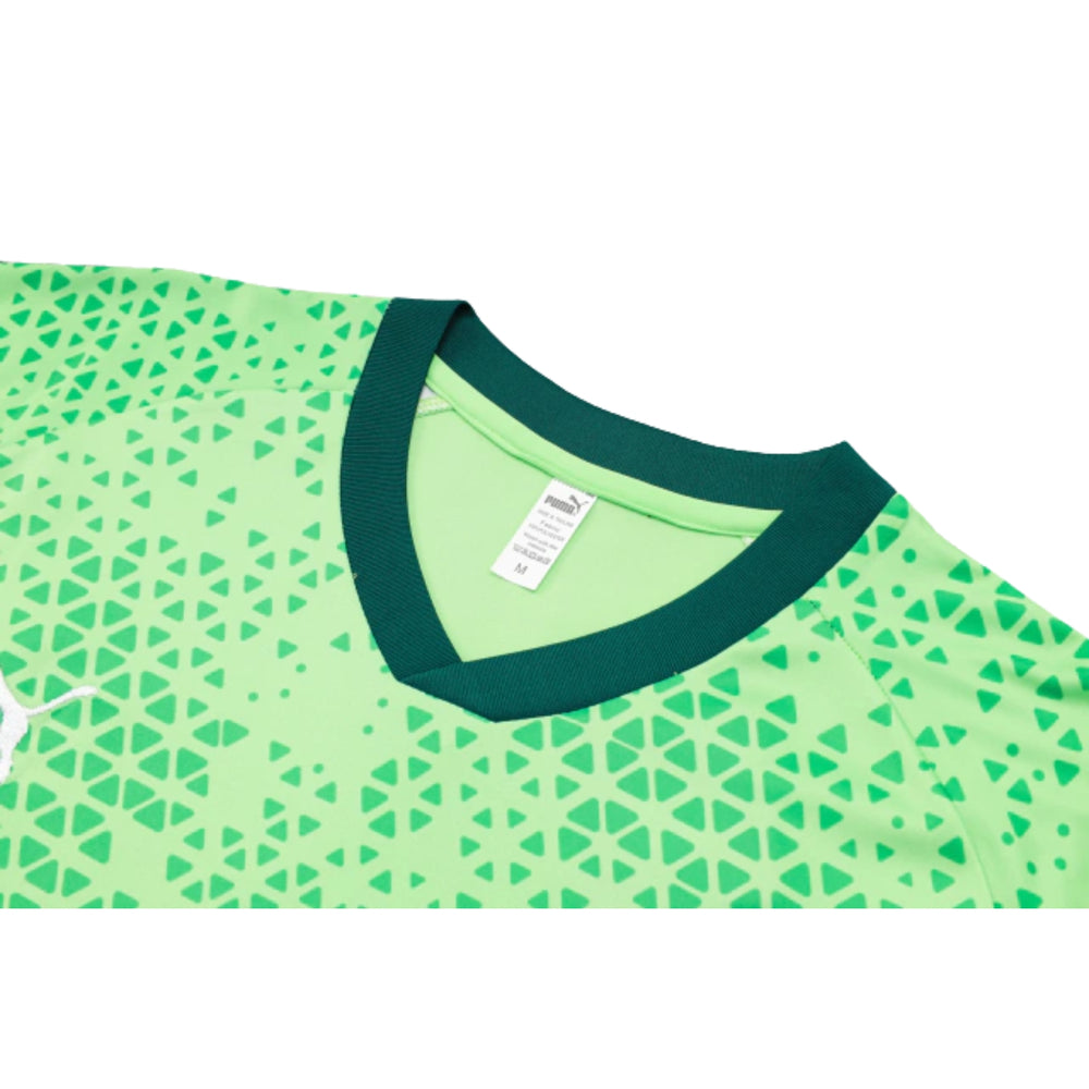 Palmeiras 24/25 - Training Kit