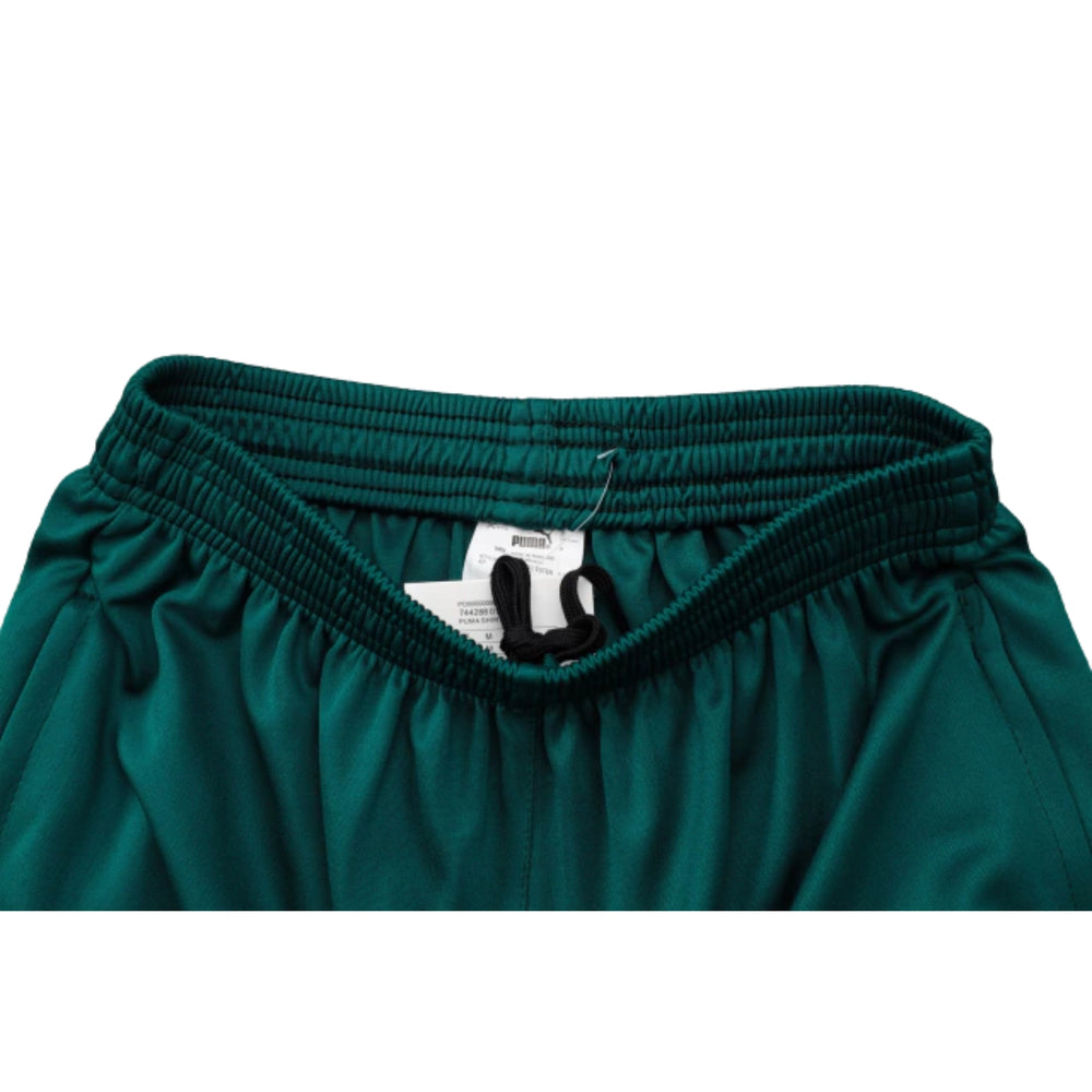 Palmeiras 24/25 - Training Kit