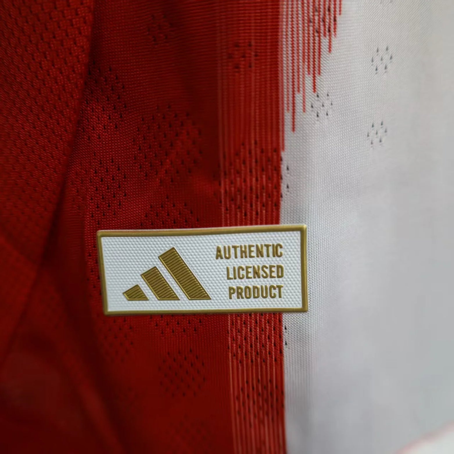 Bayern Munique Domicile 25/26 - Vue latérale