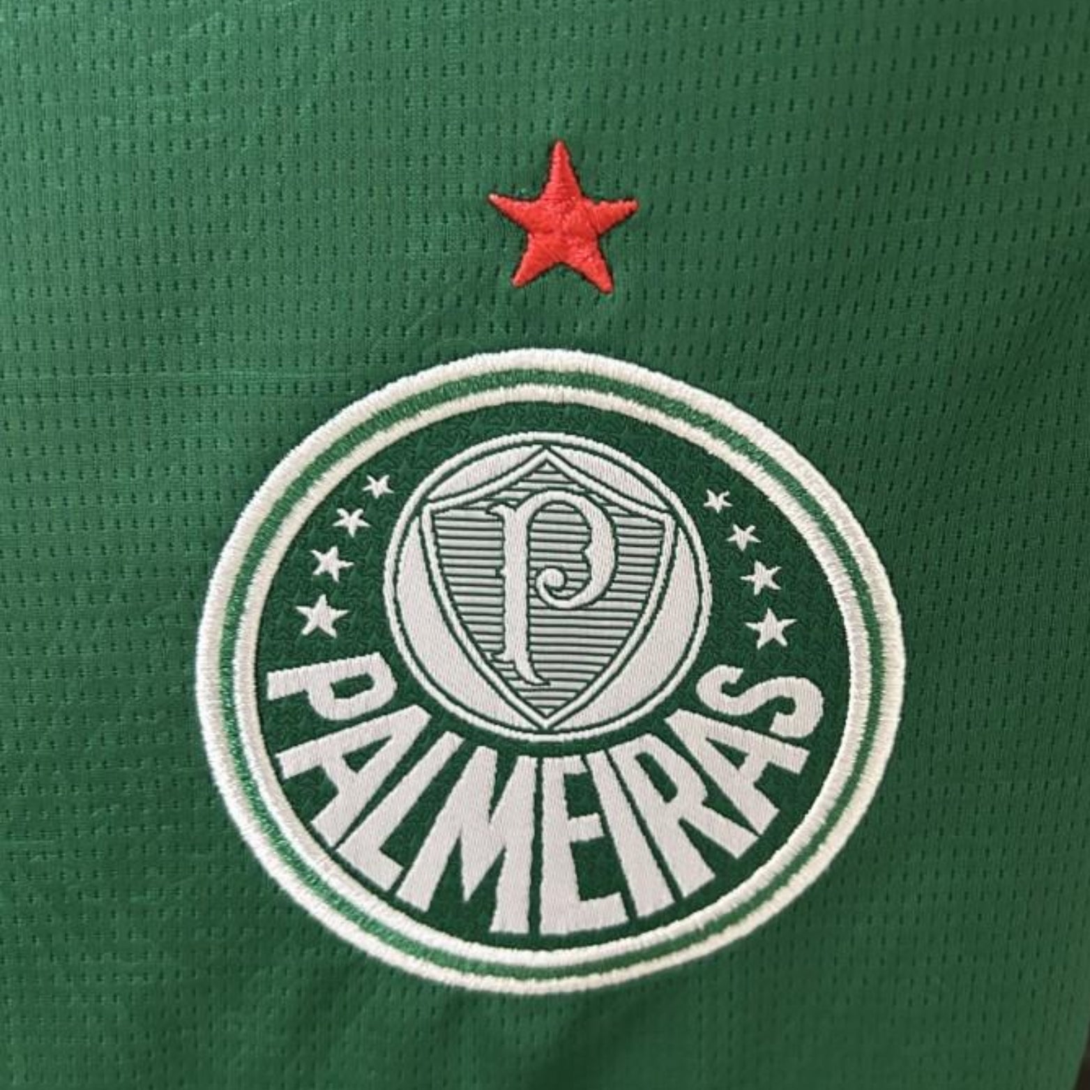 Palmeiras Domicile 25/26 - Porté