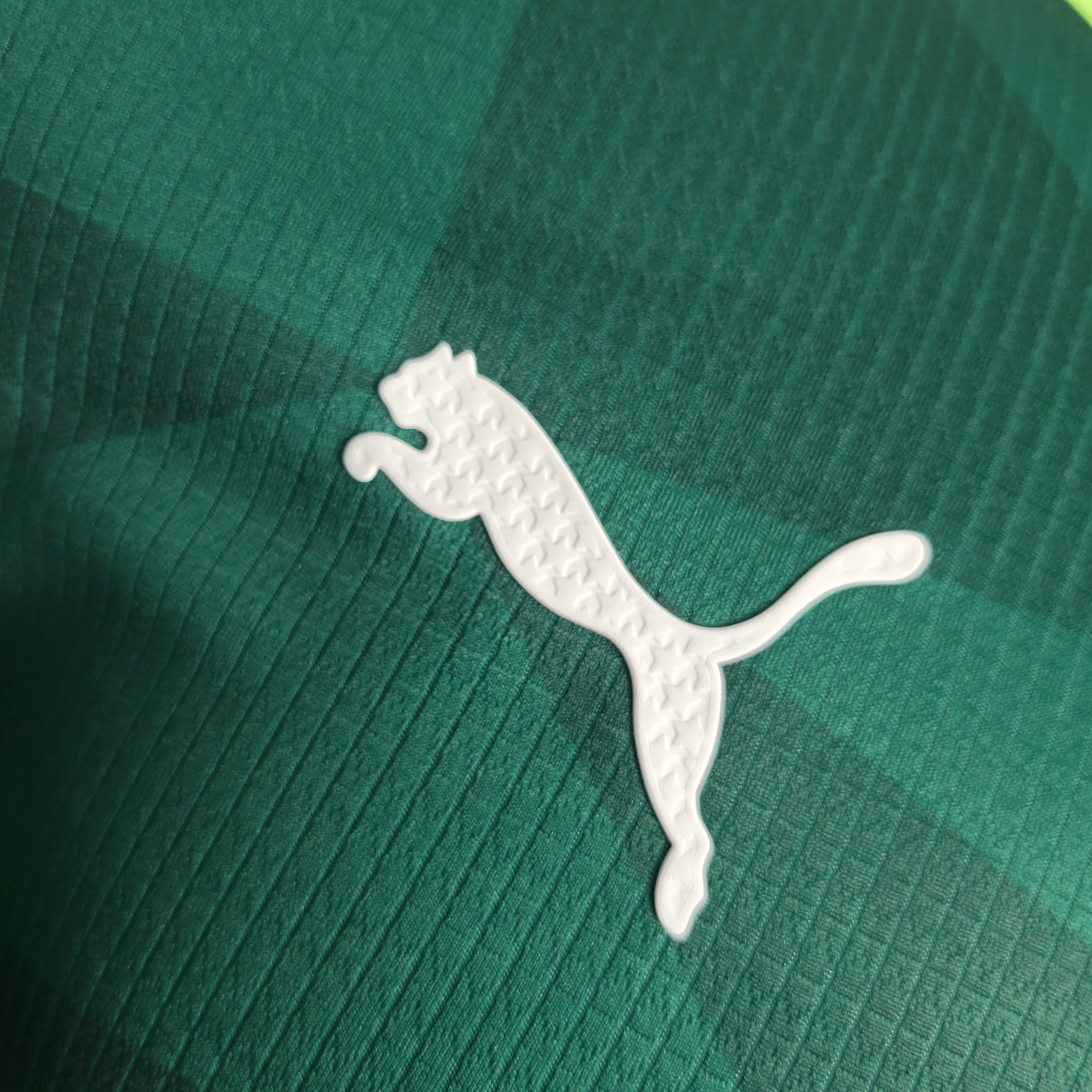 Palmeiras Domicile 23/24 - Porté